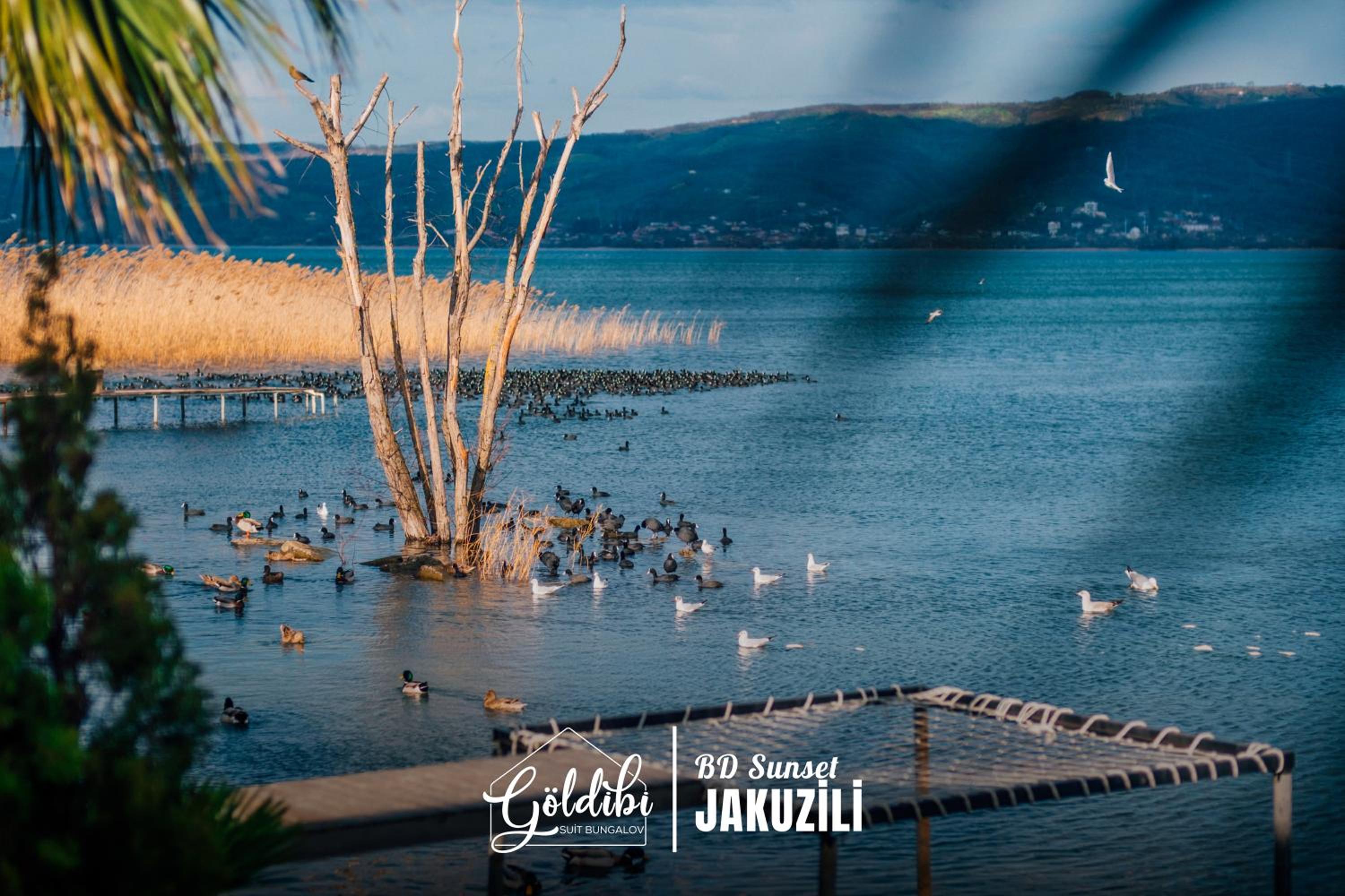 Sapanca Göldibi Suit Bungalov