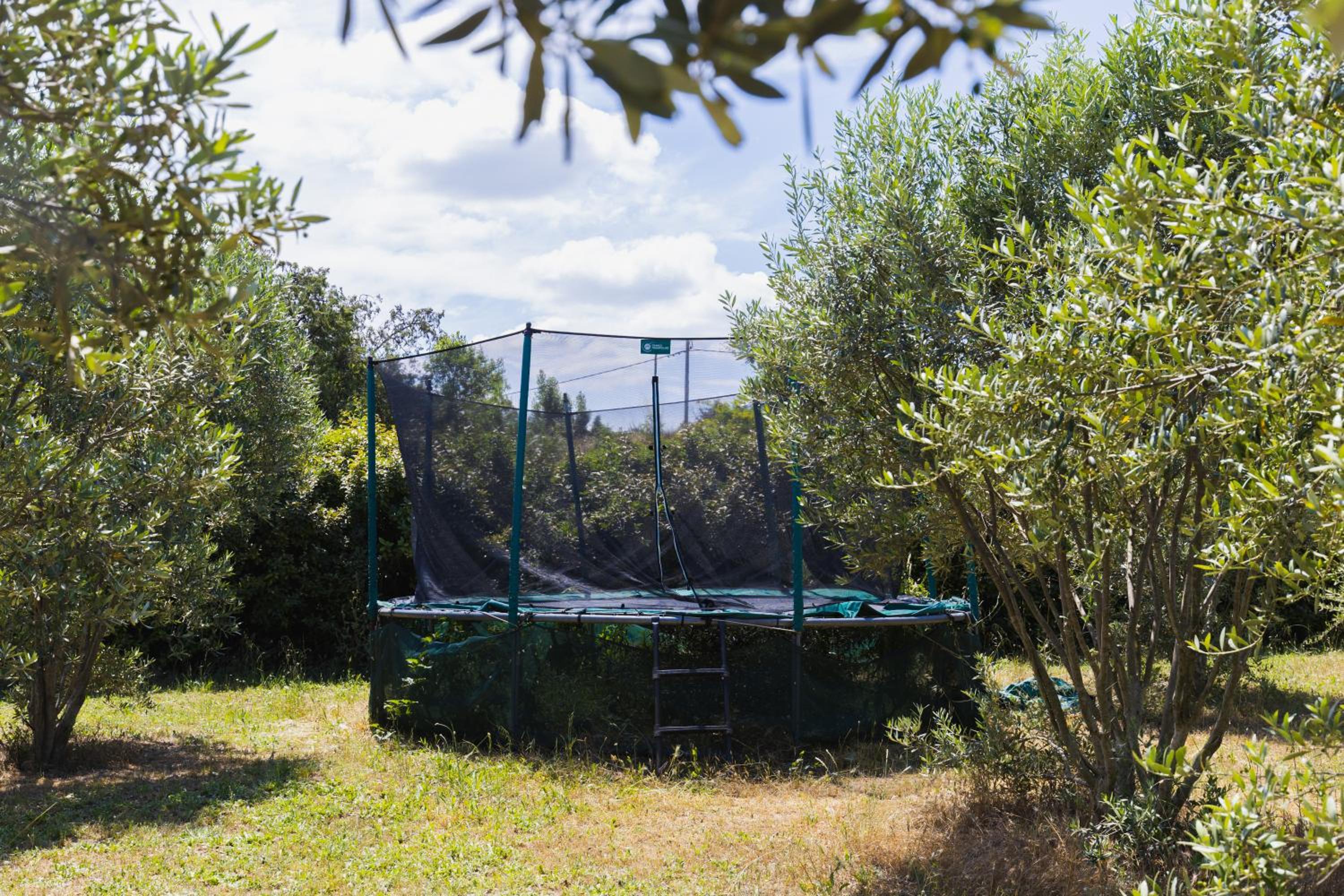 Roulotte chez Manon en Luberon