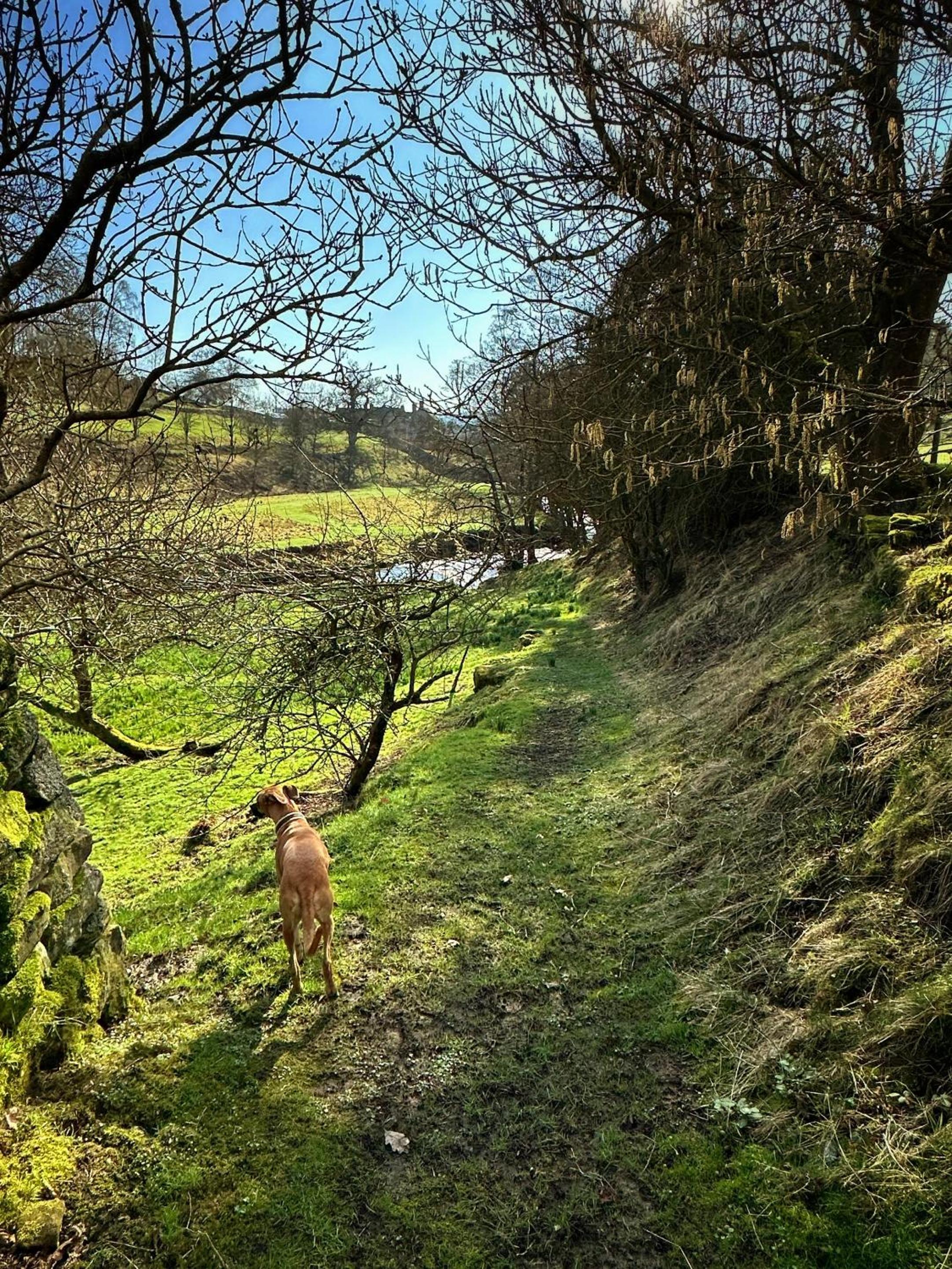Otterhills