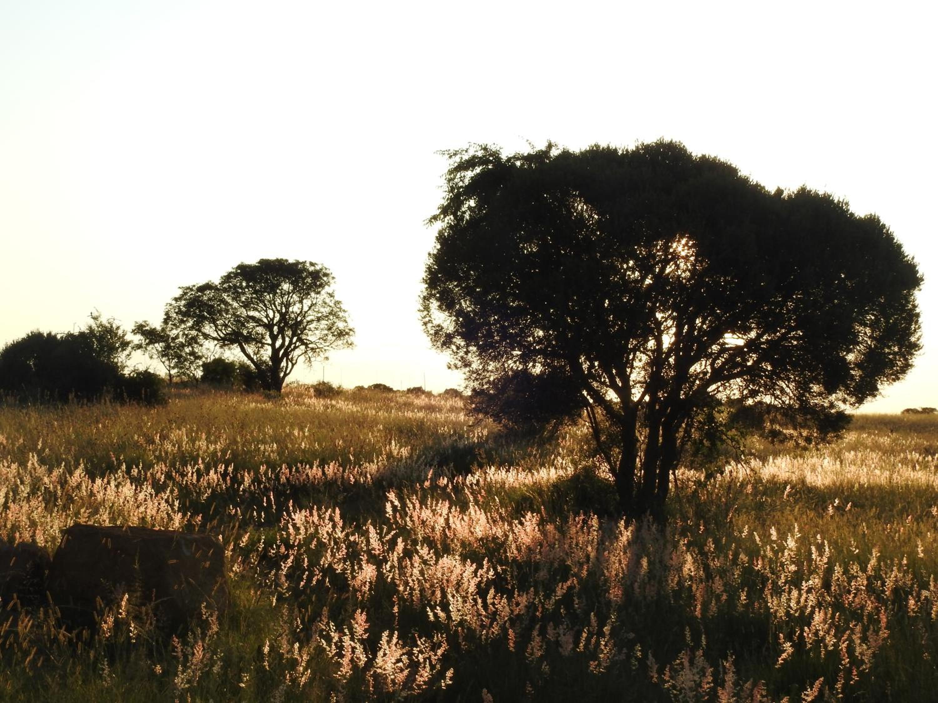 Photo 33