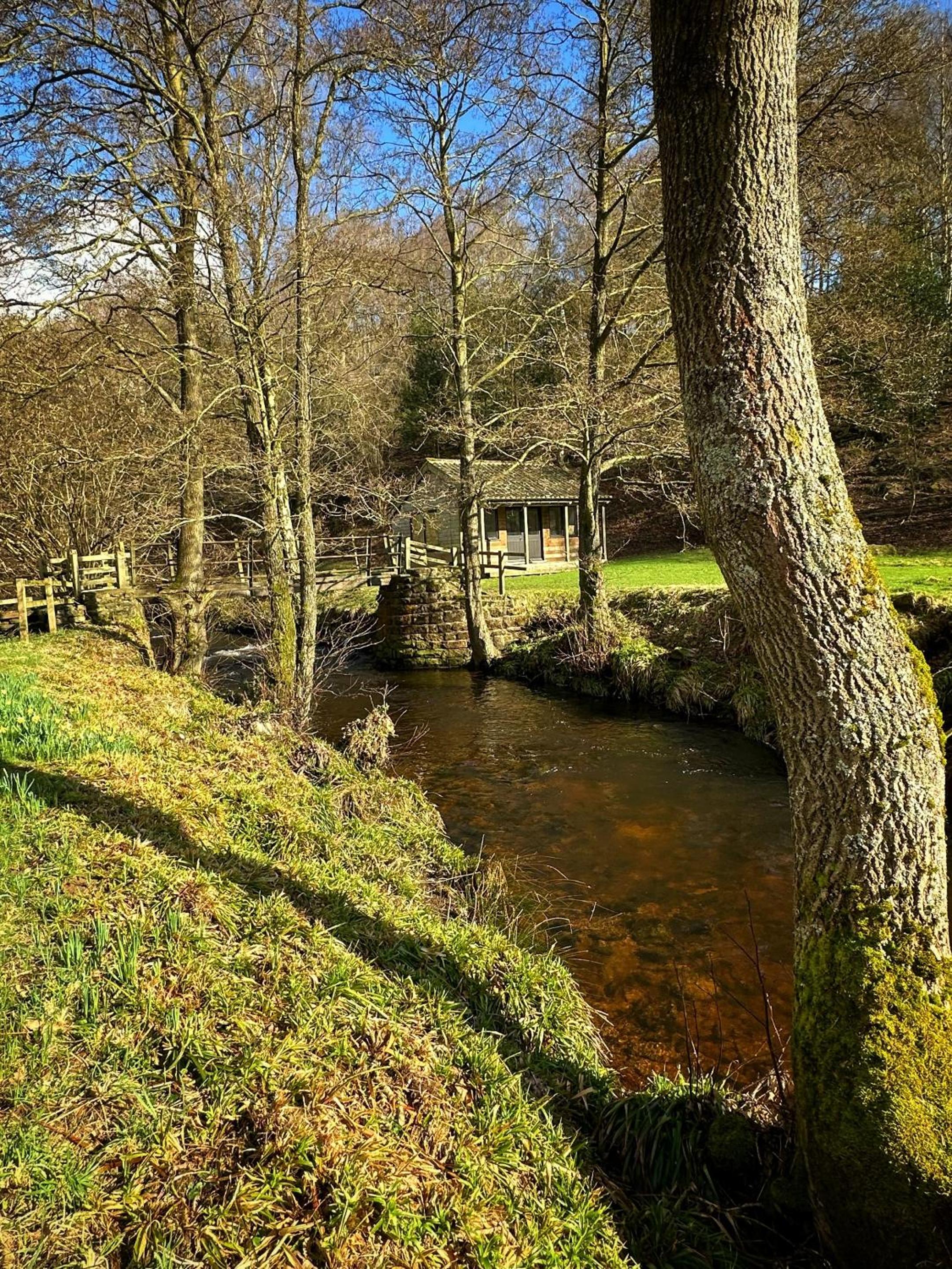 Otterhills