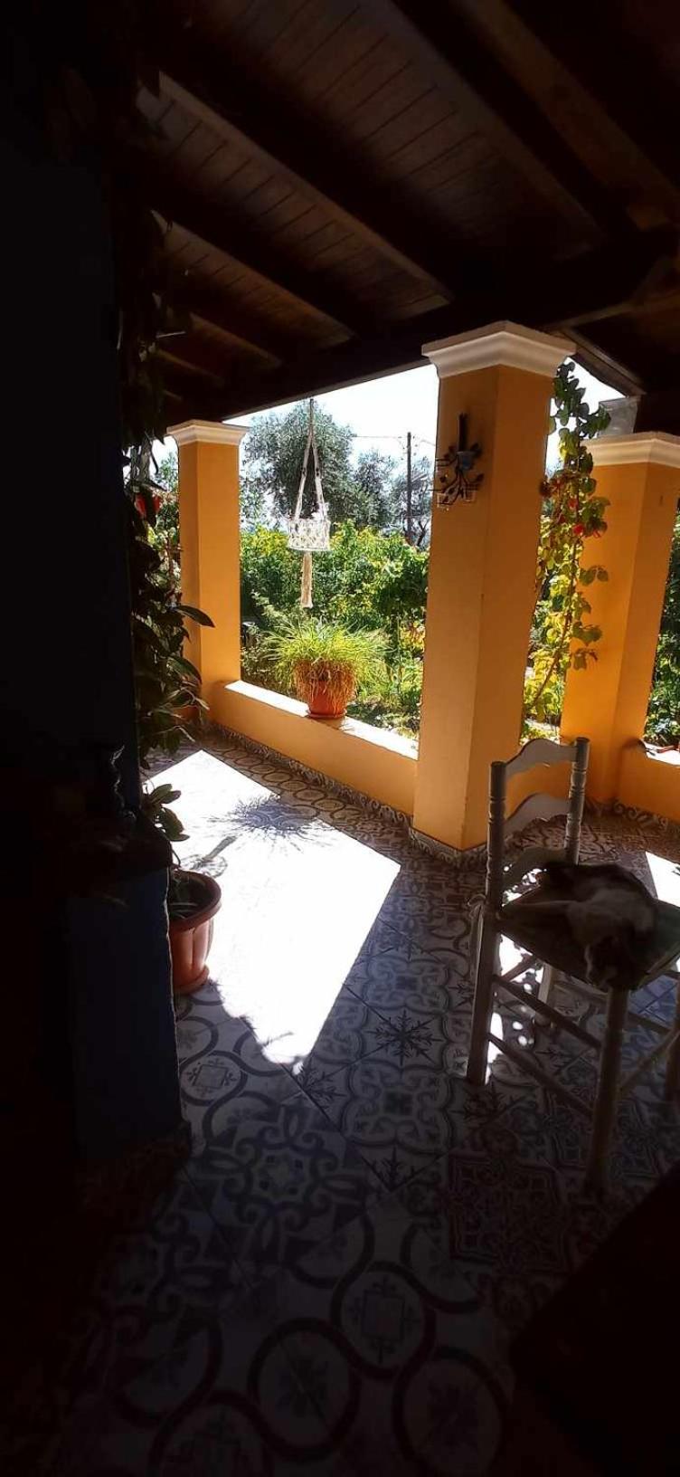 Photo 44