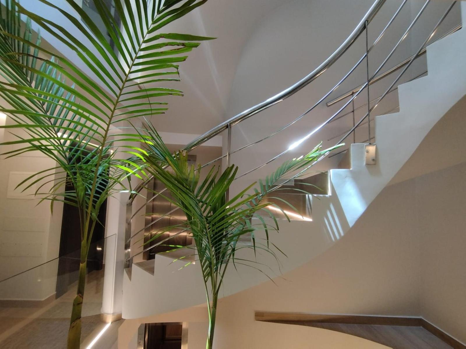 Plaza Rooms