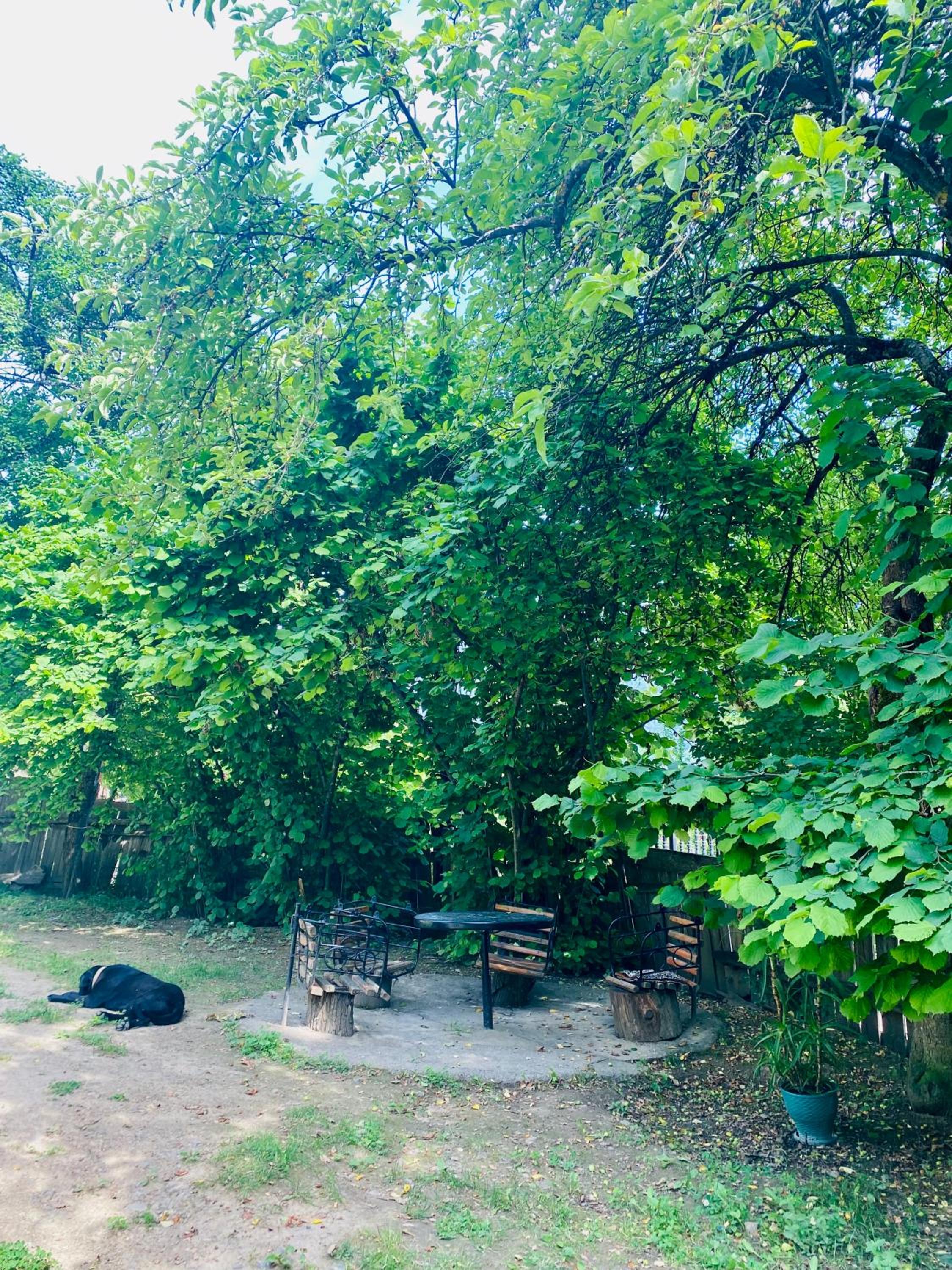 Likani House 1 view 2