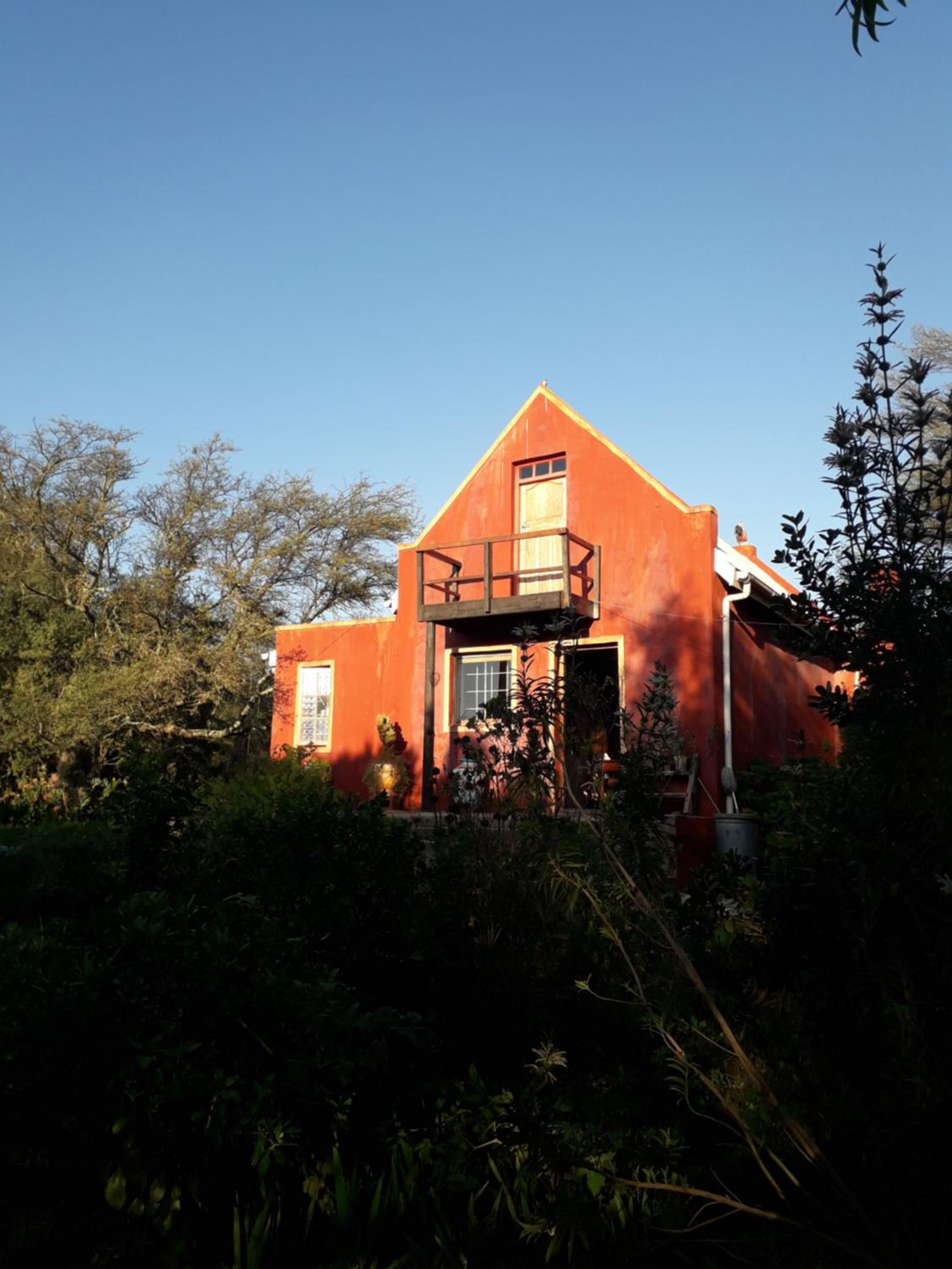 Photo 21