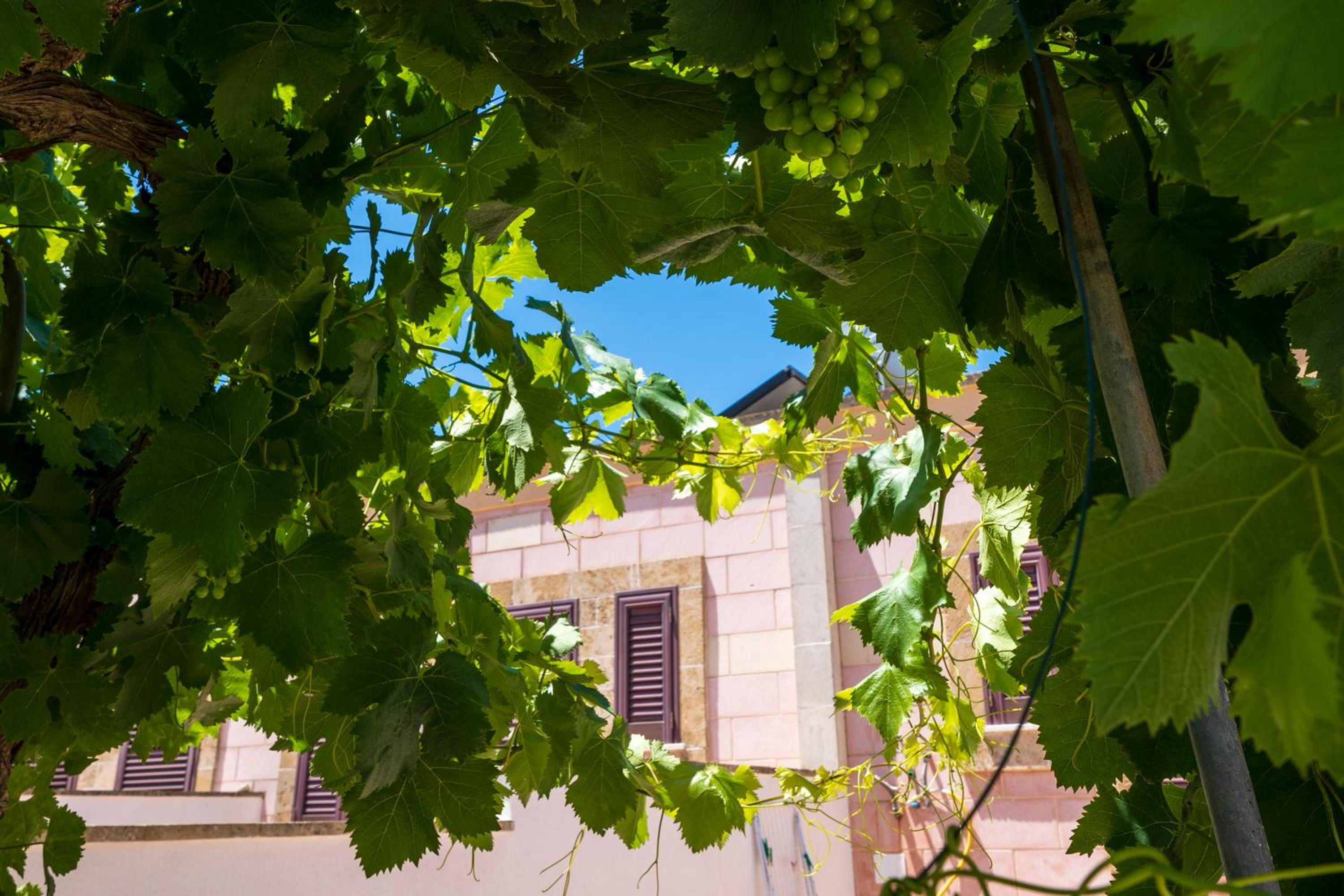 Agriturismo Masseria Le Creste photo 2