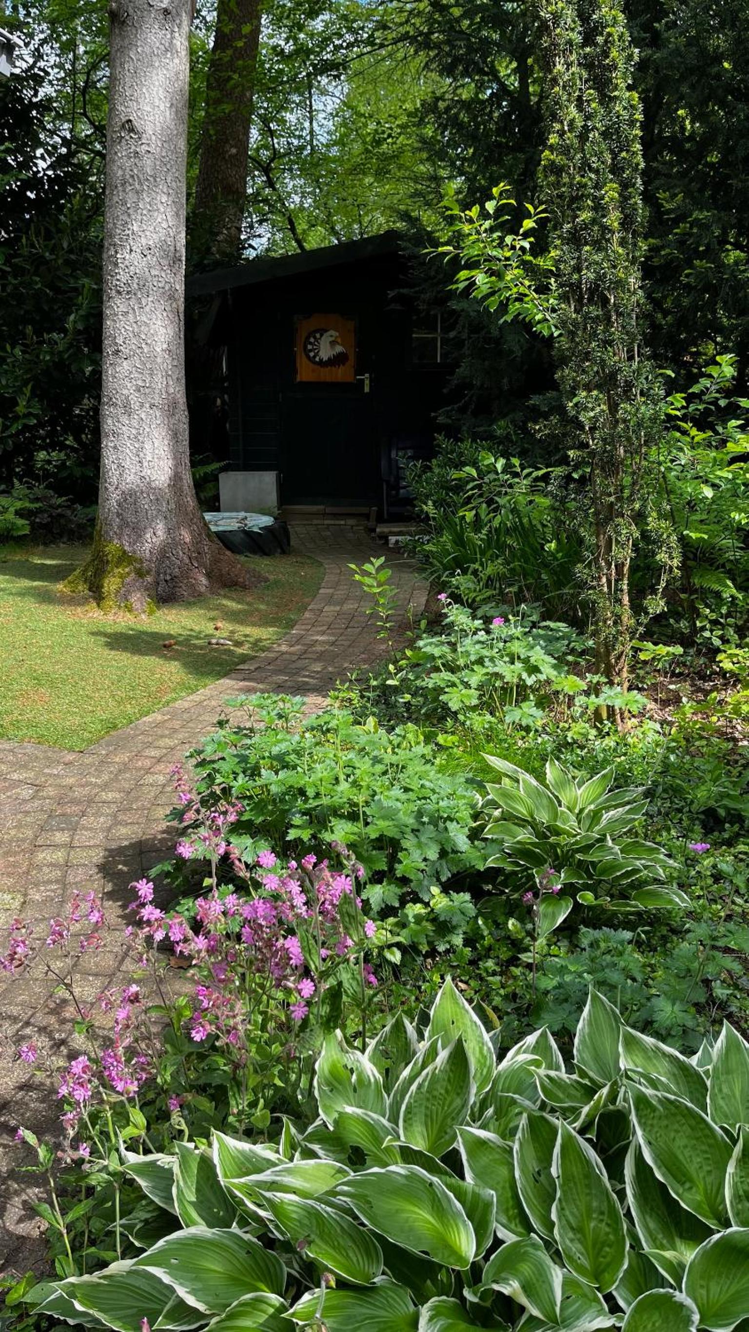 Photo 15