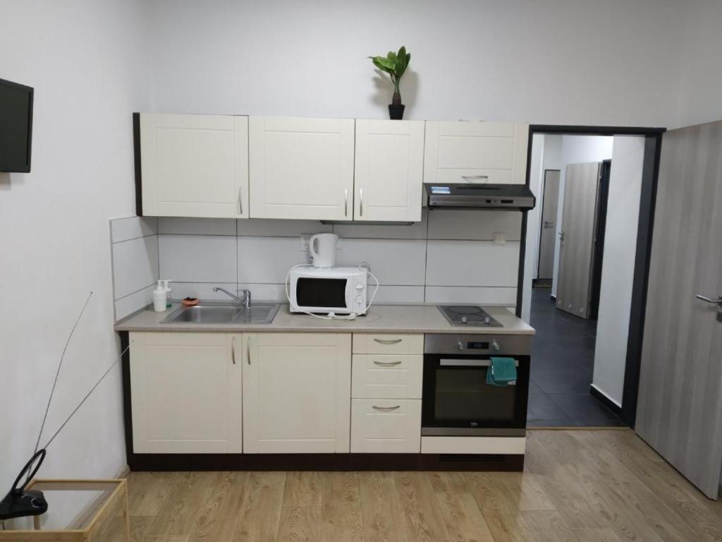 Apartments near the center with privat parking