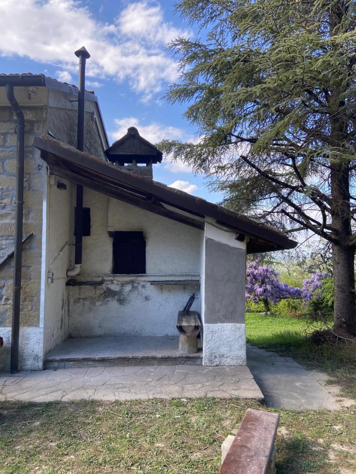 Stanza nel bosco alla Canova di Biforco