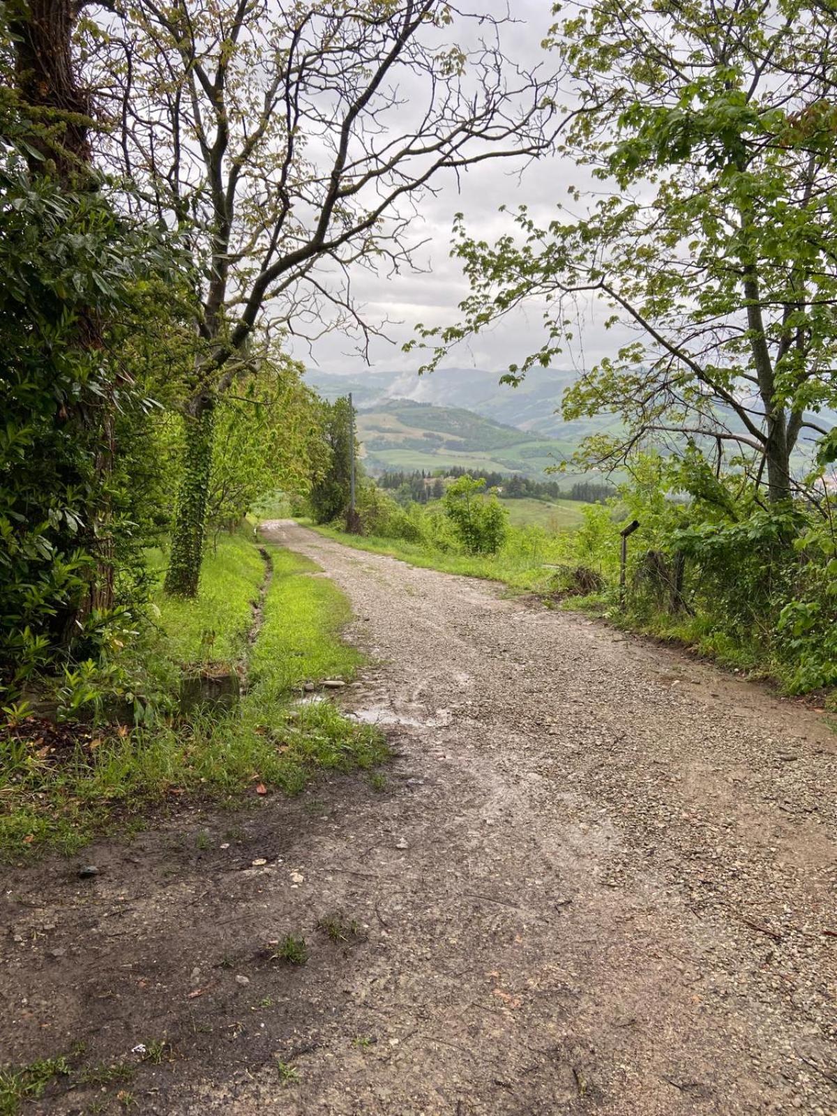 Stanza nel bosco alla Canova di Biforco