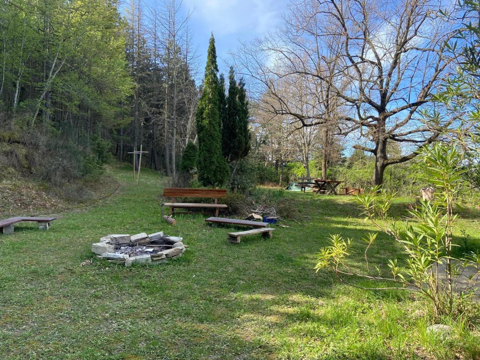 Stanza nel bosco alla Canova di Biforco