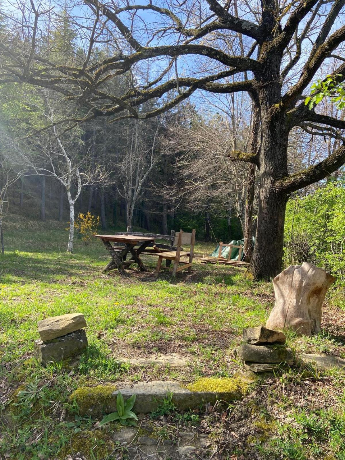Stanza nel bosco alla Canova di Biforco