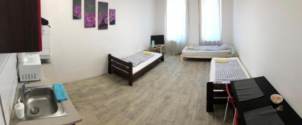 Apartments near the center with privat parking