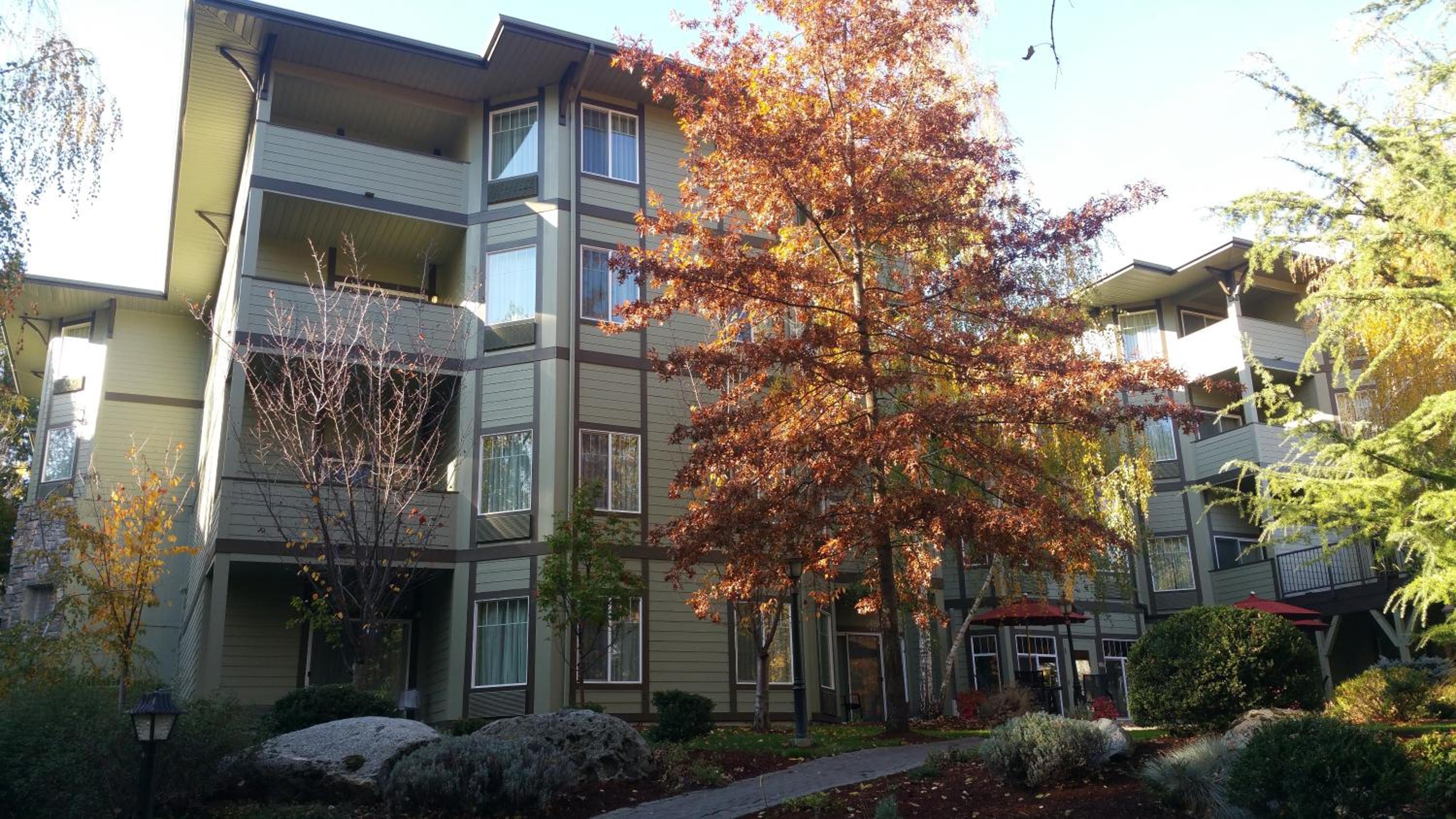 Ashland Vacations - Plaza Inn Suites at Ashland Creek - Property Image 3