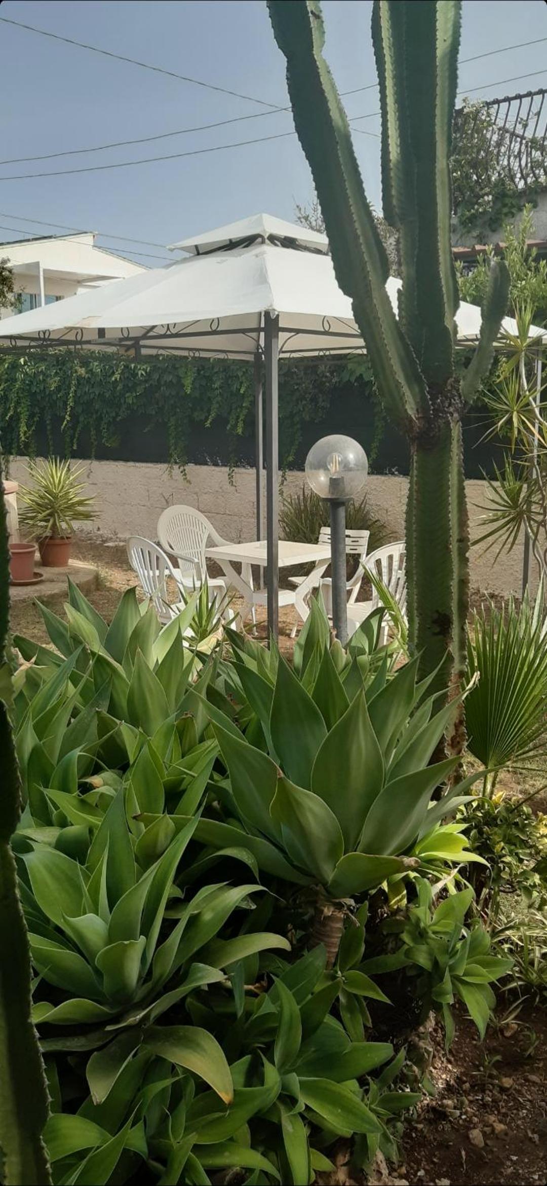 Villa Salvina Beach view 5