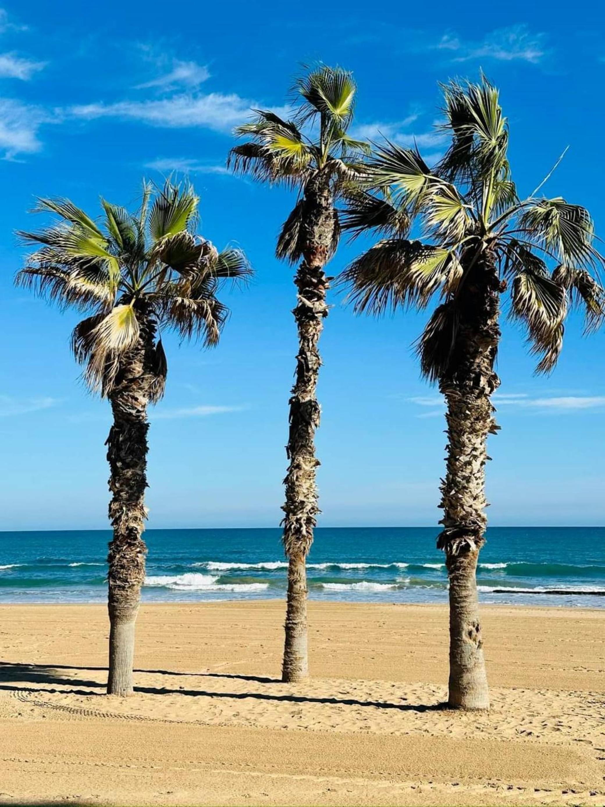 Apartamento Playa la Mata photo 5