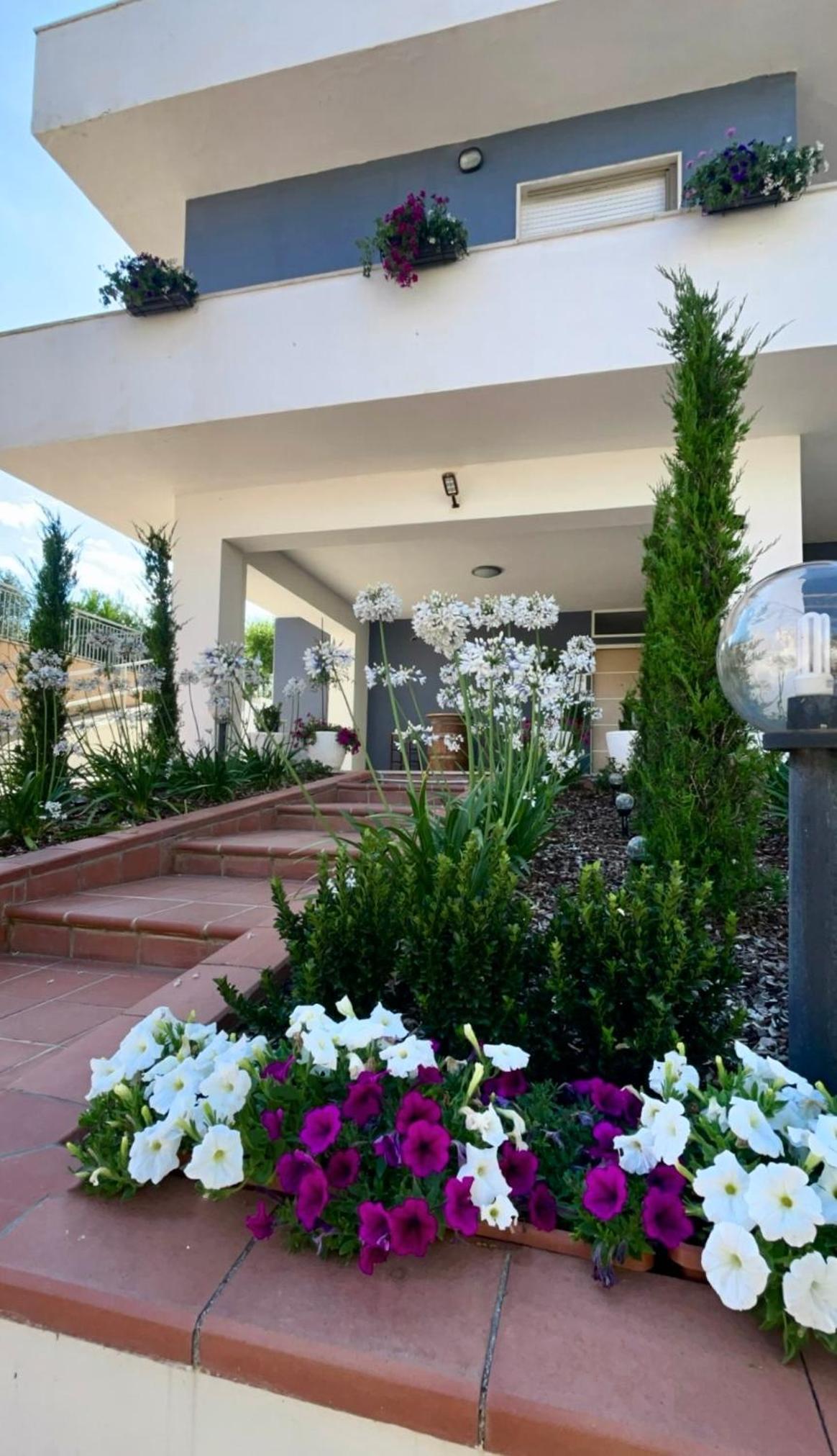 Villa Ettore view 5