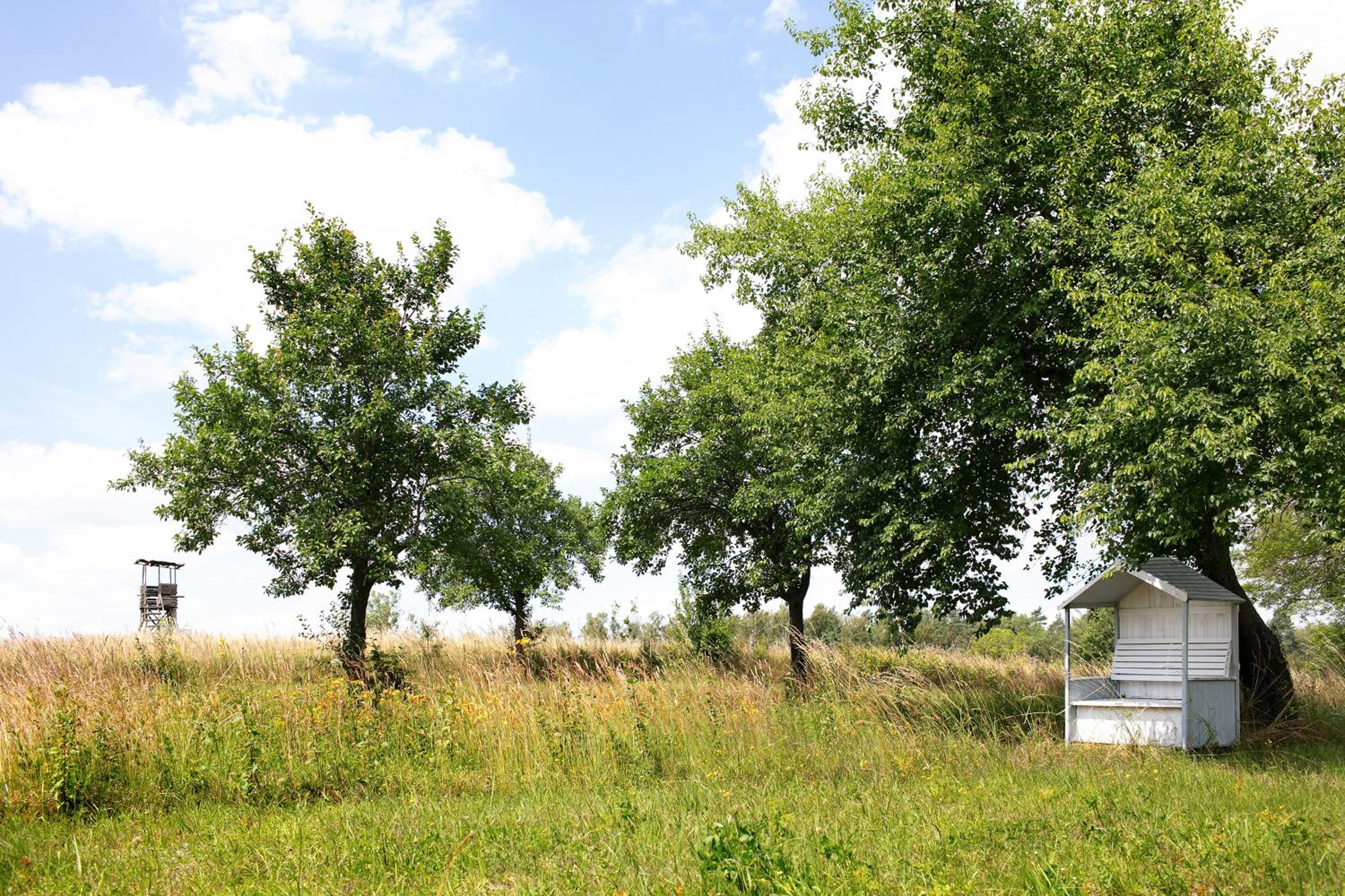 Ferienwohnungen Hof Luisenau