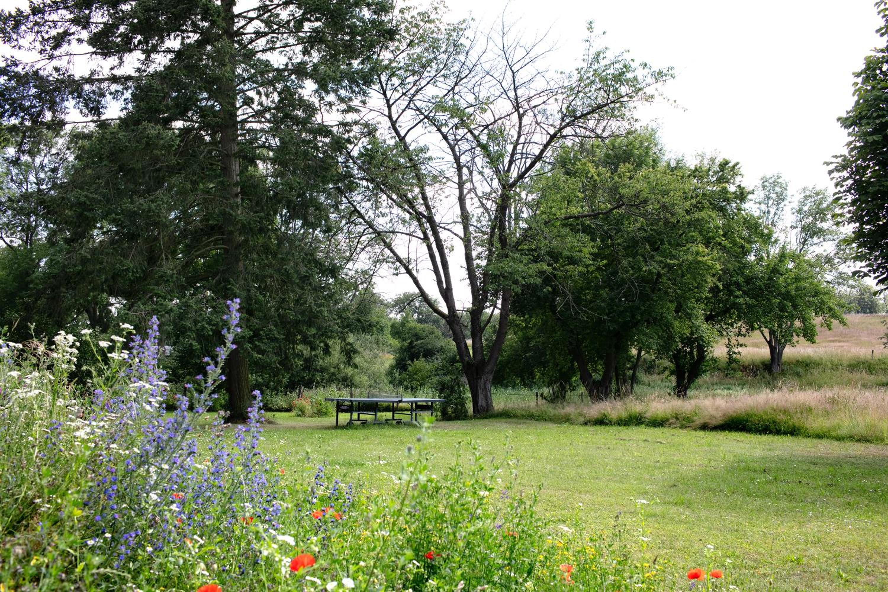 Ferienwohnungen Hof Luisenau