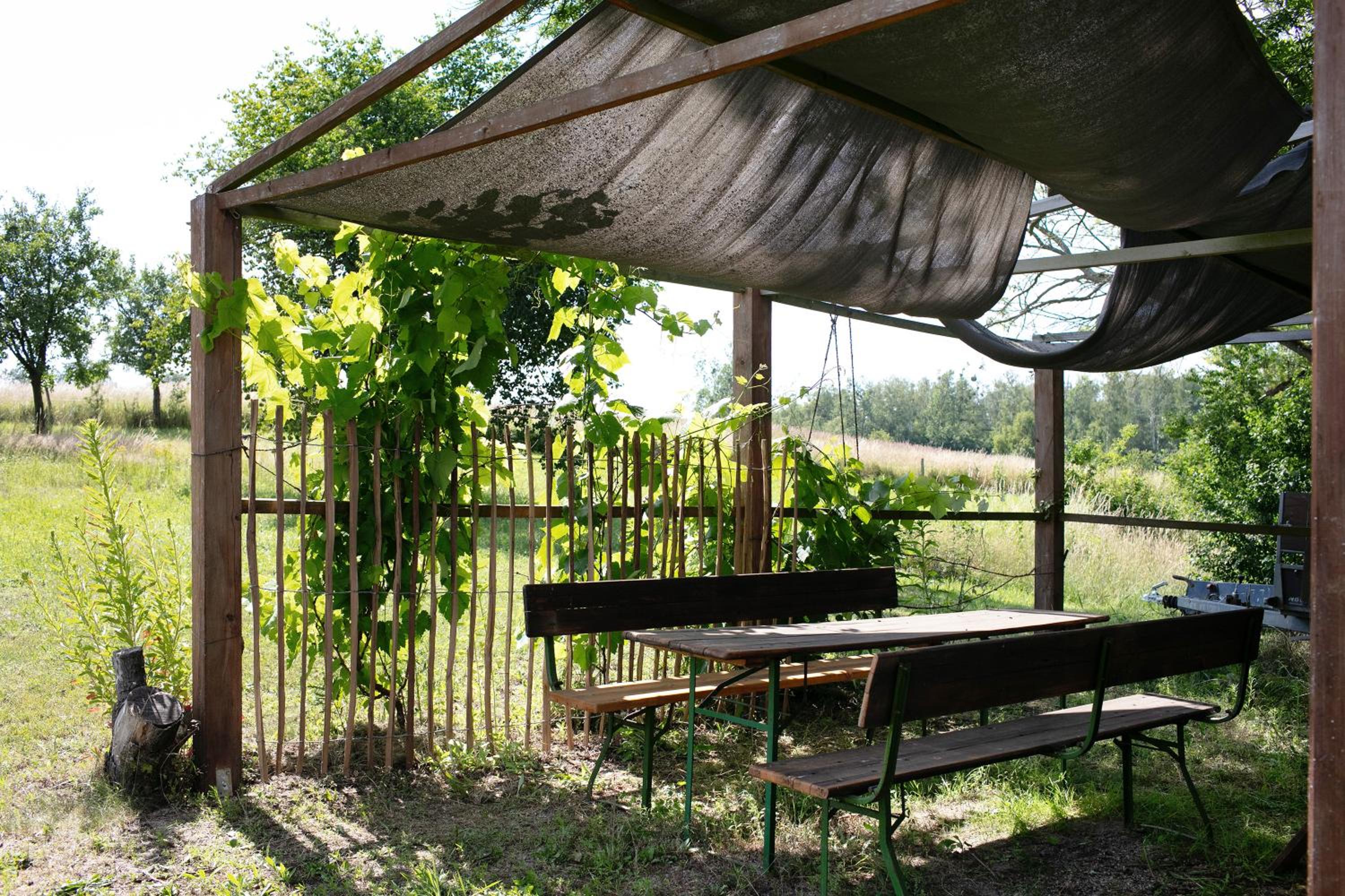 Ferienwohnungen Hof Luisenau