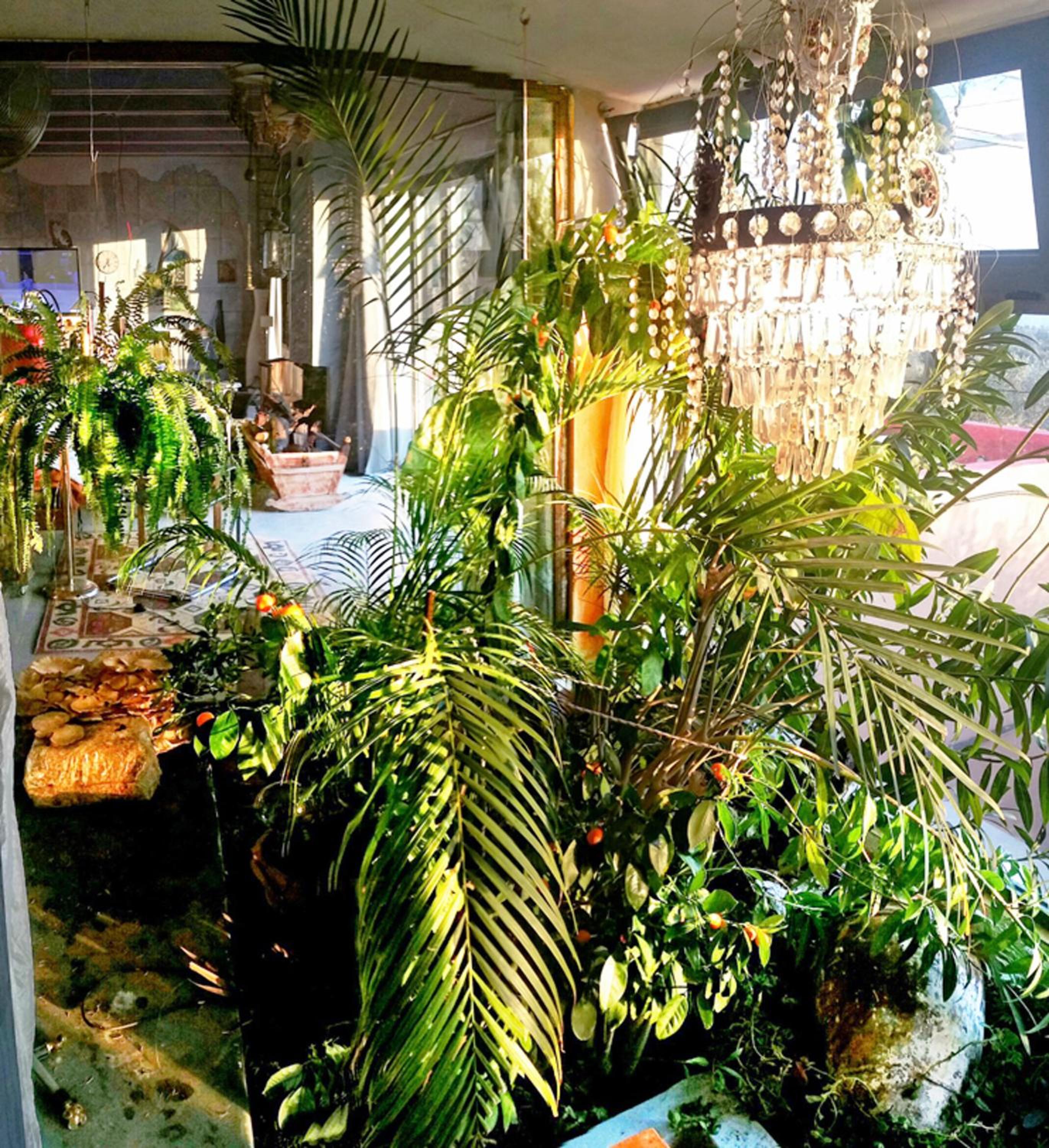 lounge