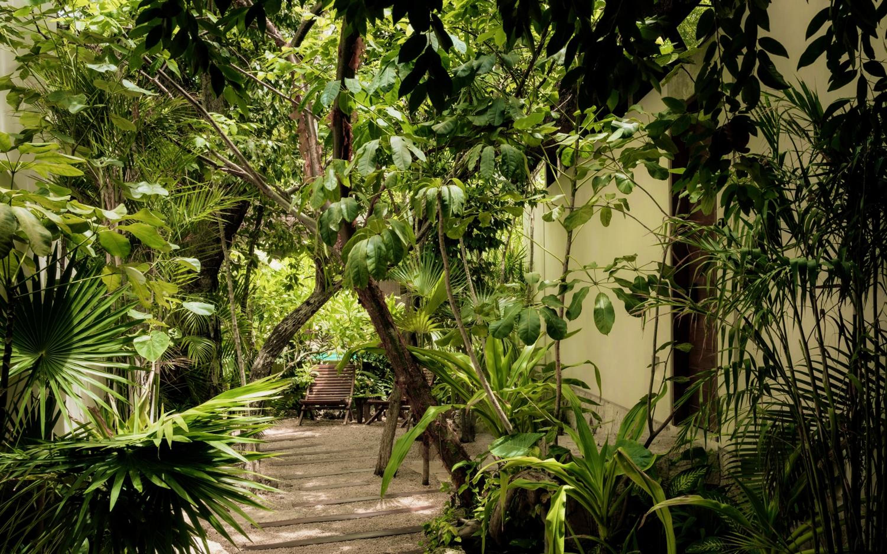 Jungle Keva Tulum Villa Lodges & Venue view 5