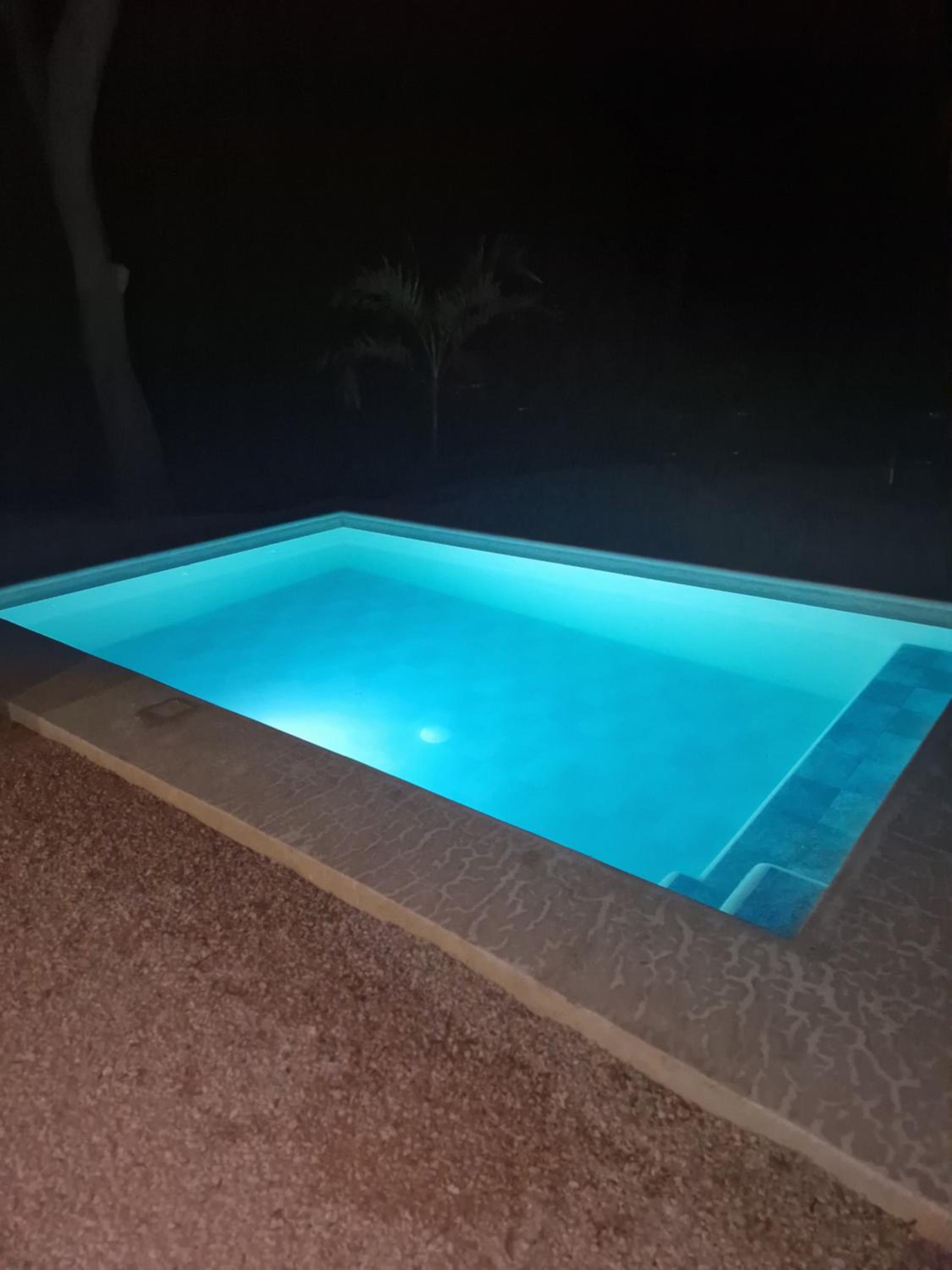 Casa los monos