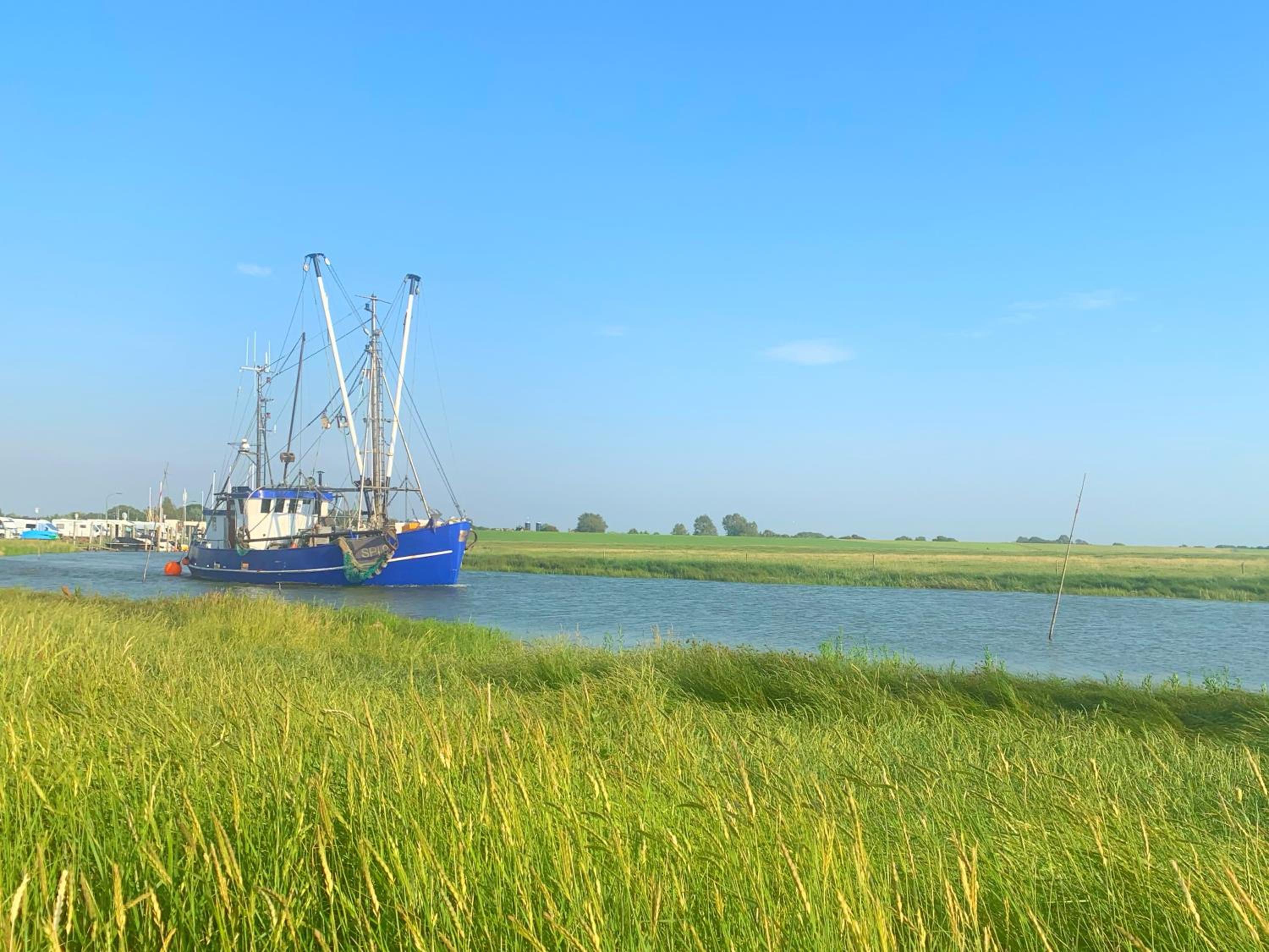 Nordseepanorama in der Ferienwohnung de Spant