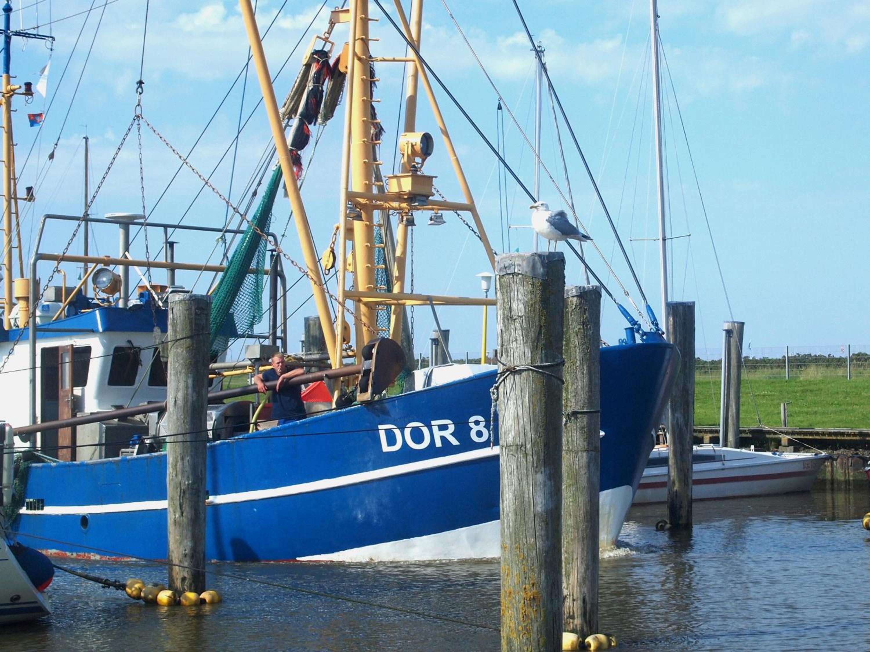Nordseepanorama in der Ferienwohnung de Spant