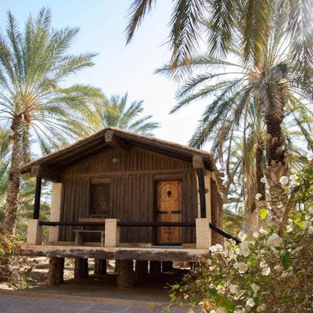 Dar Horchani Tozeur view 3