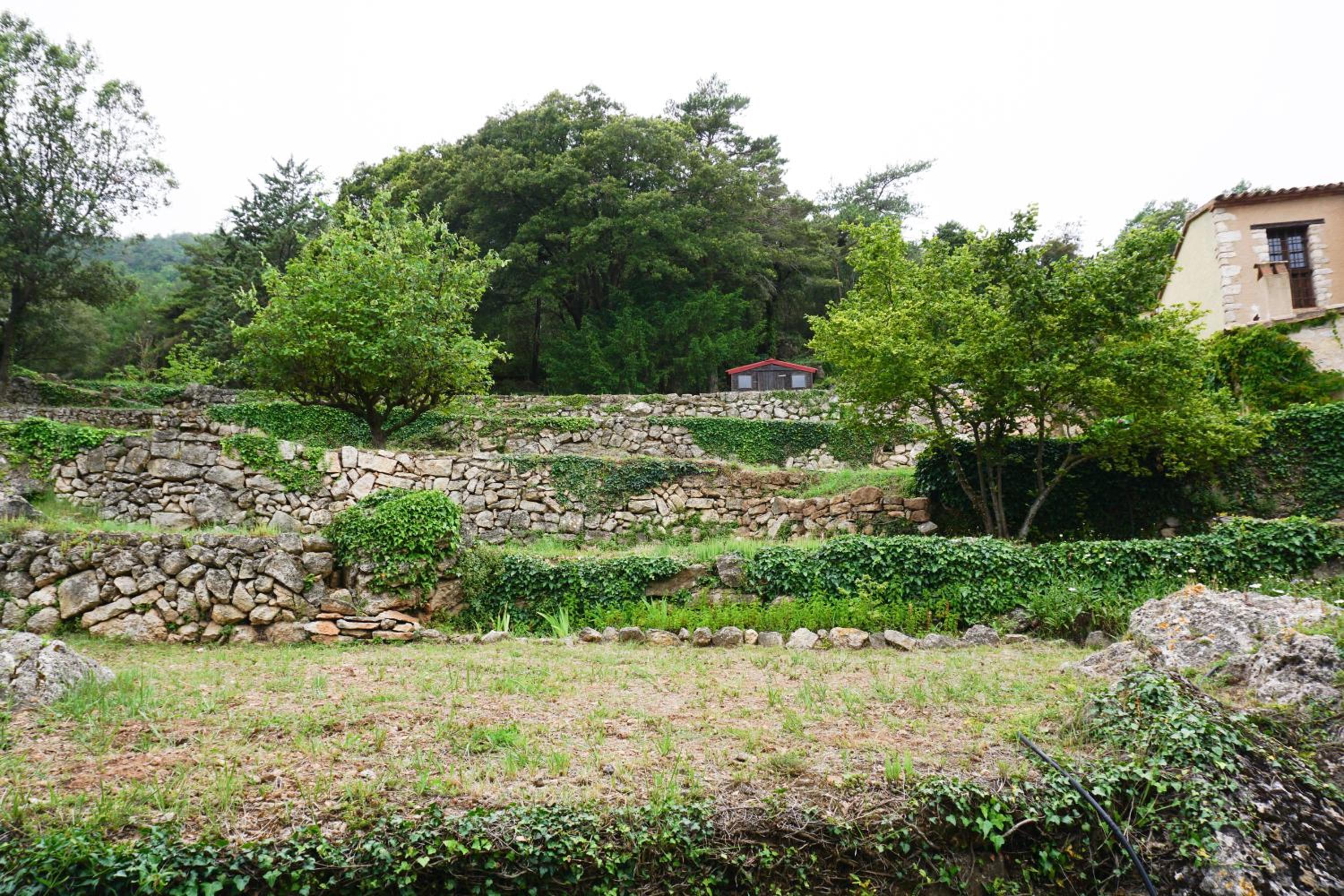 Photo 46