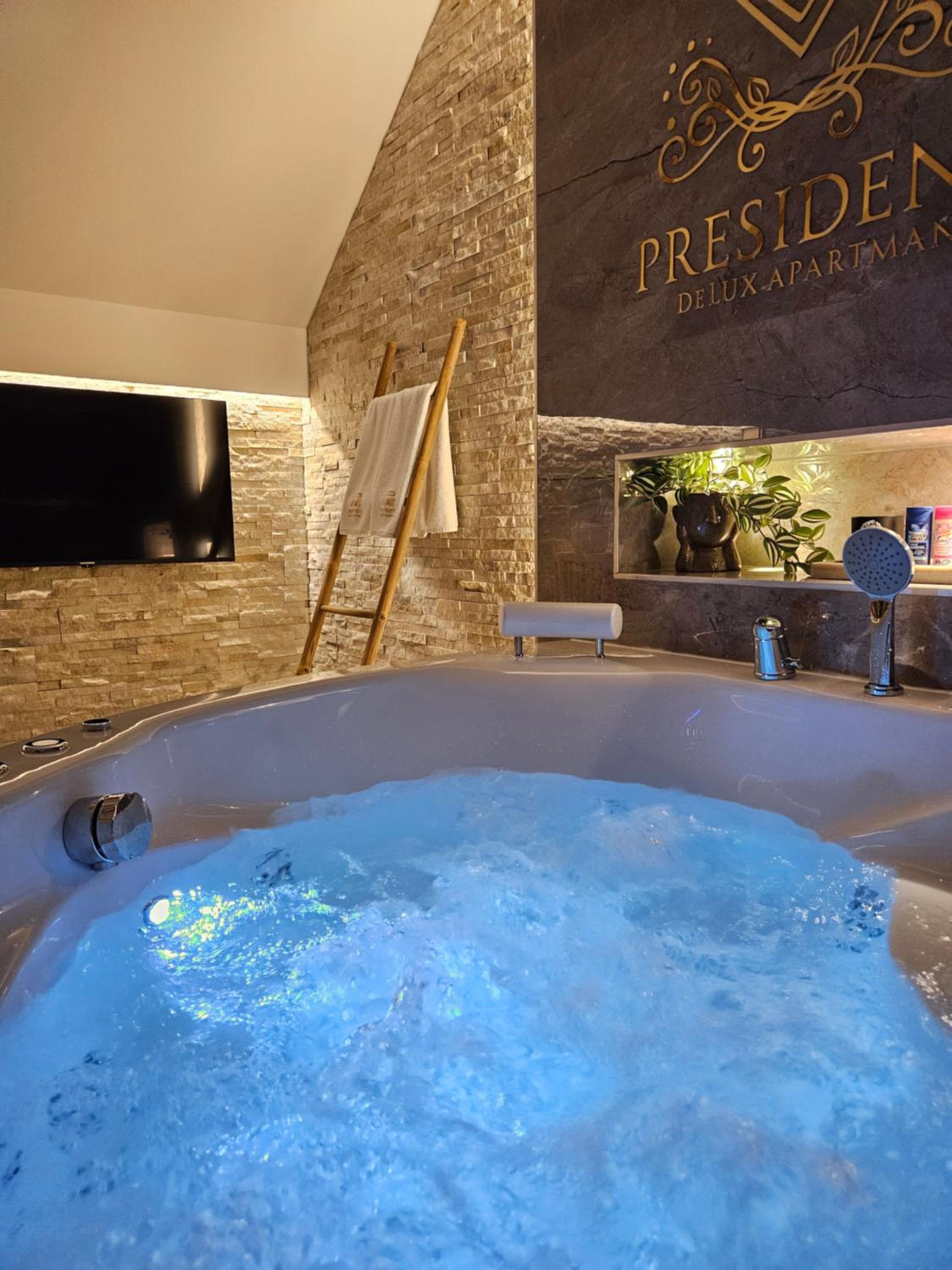 Delux apartman President Centar II