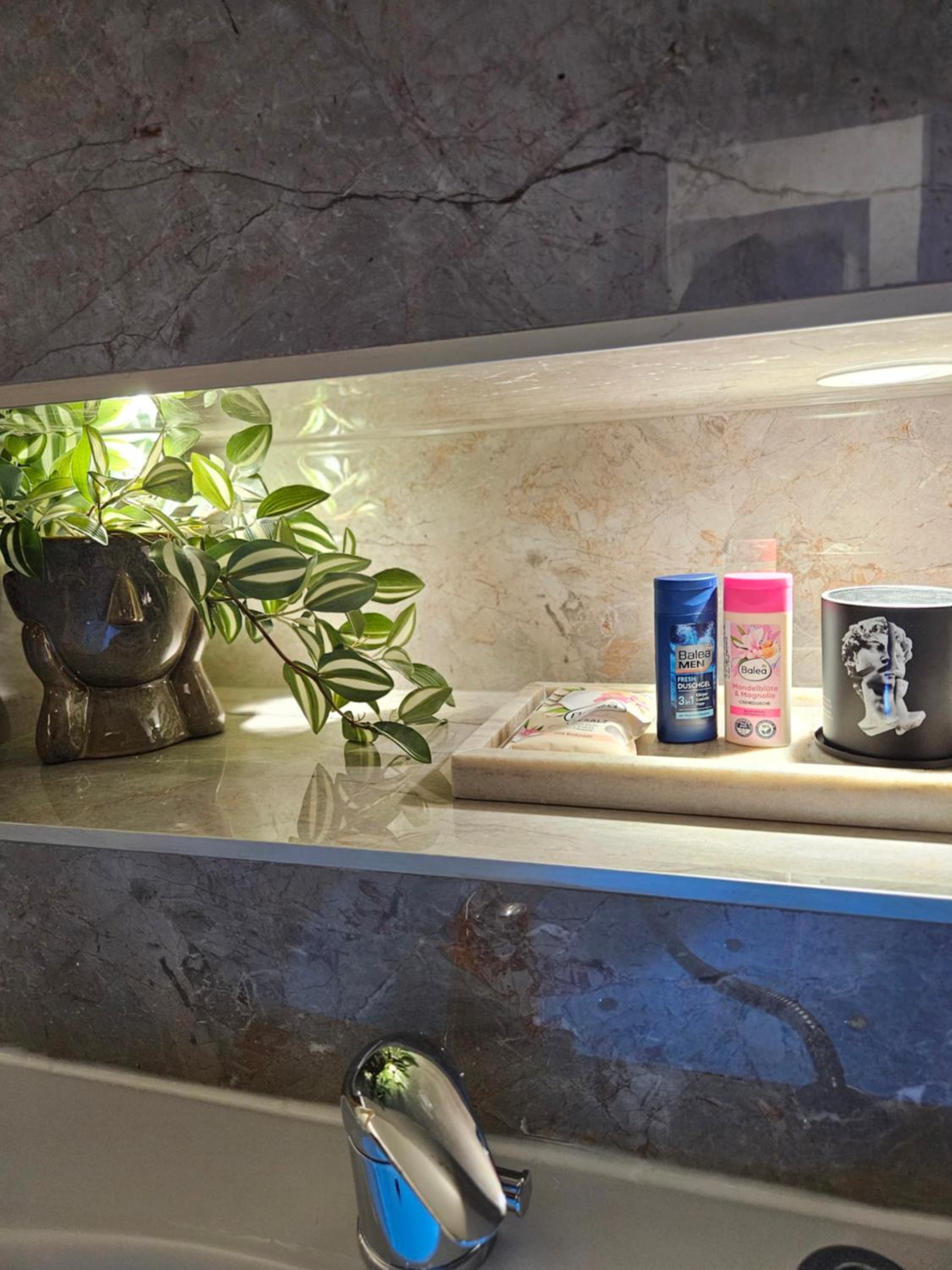 Delux apartman President Centar II