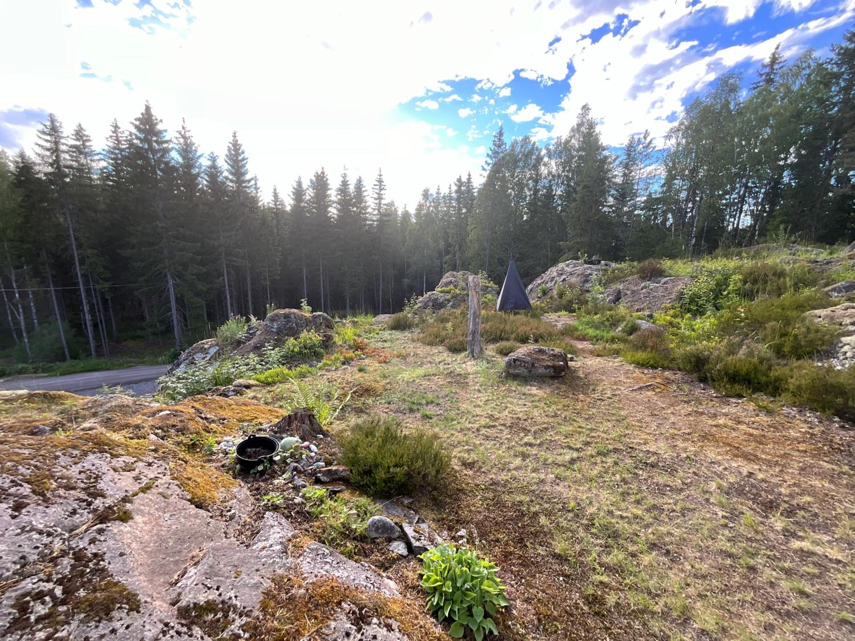 Photo 41