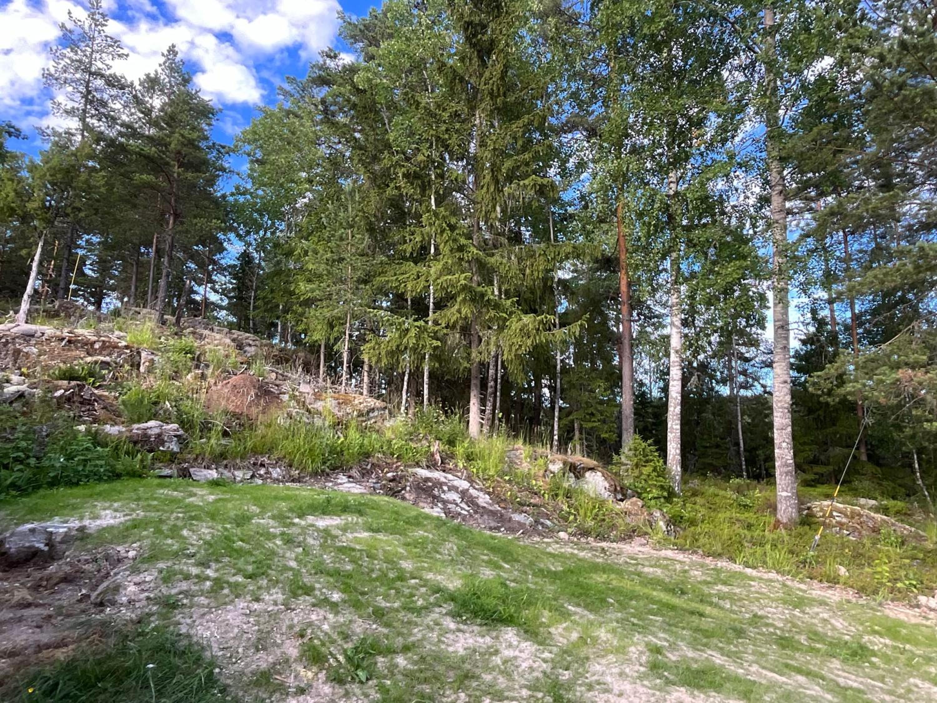 Koselig hytte i skogen view 3