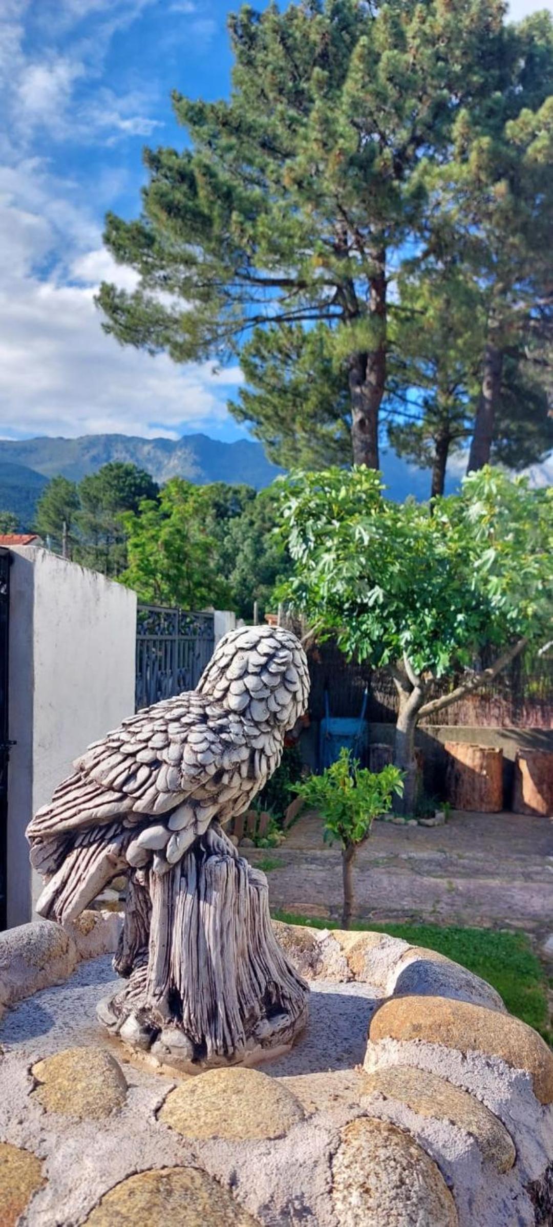 La lechuza blanca
