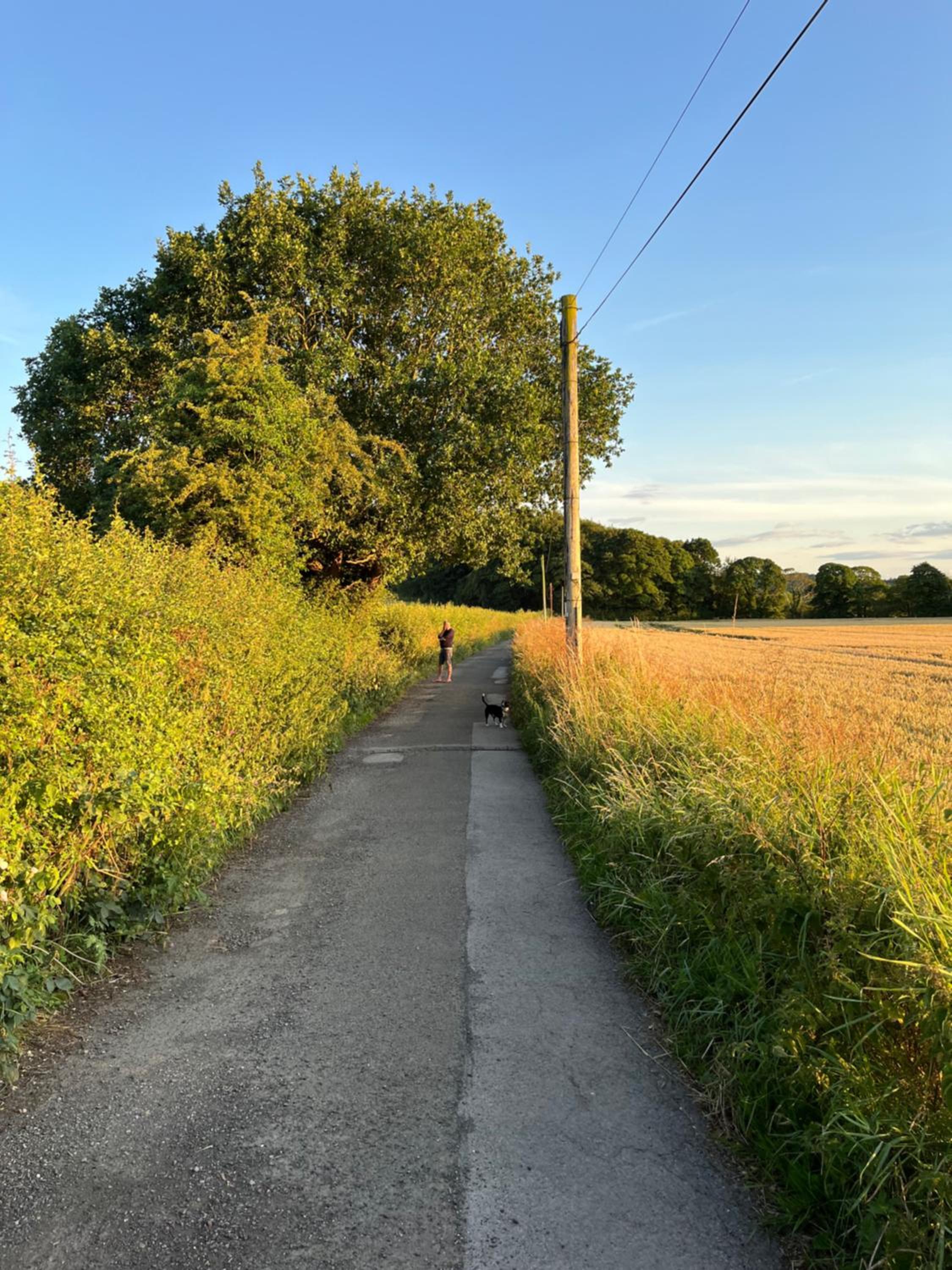 Photo 43