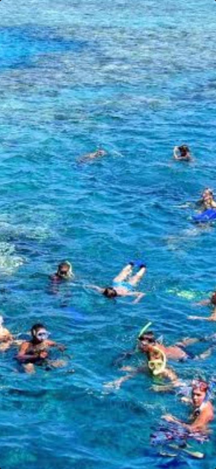 Tiran