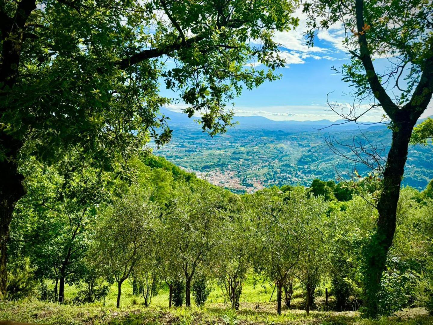 Villa nel verde | civico 2 view 5
