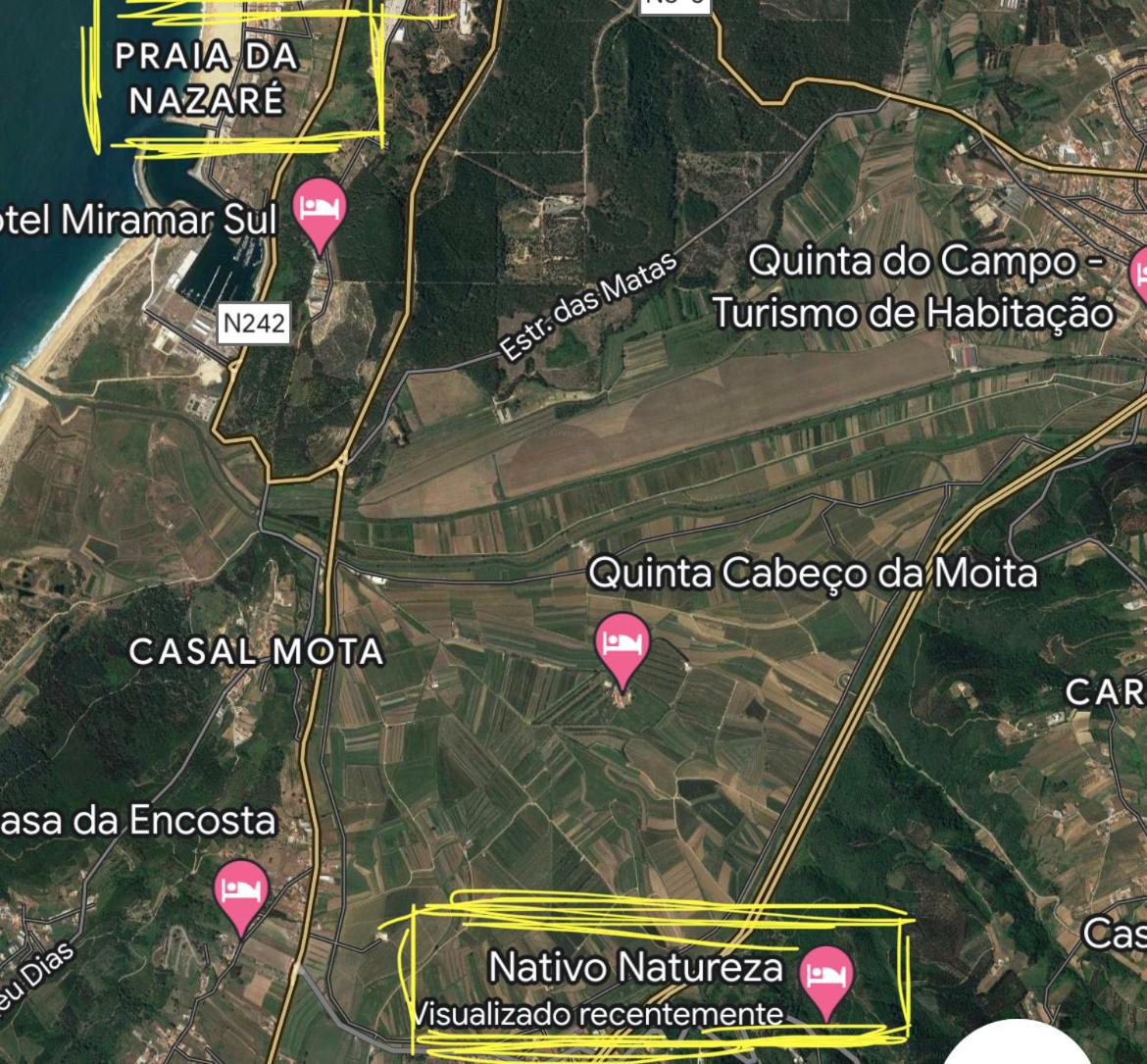 Nativo Natureza Pink Wood Cabin view 5