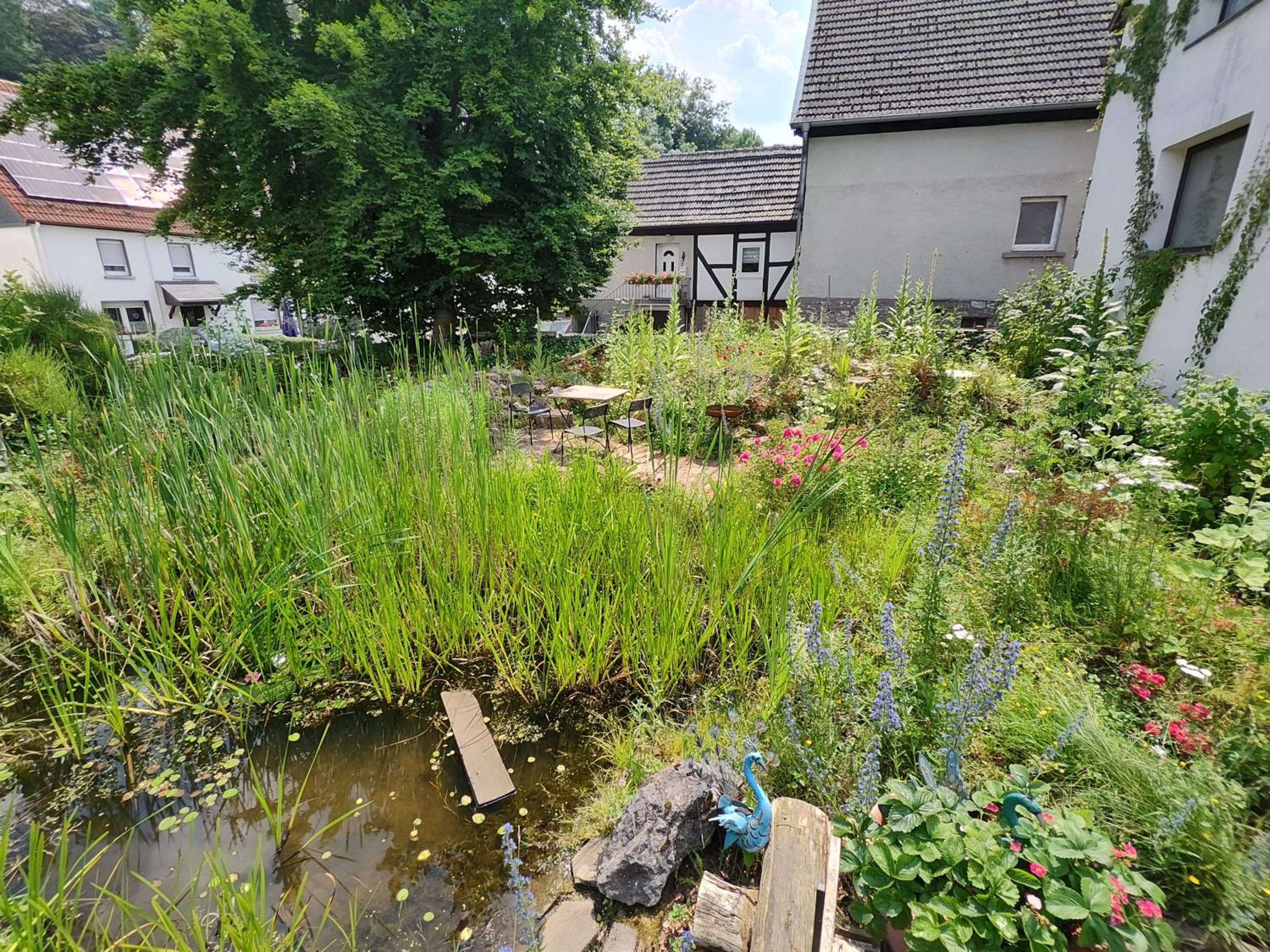 Photo 36