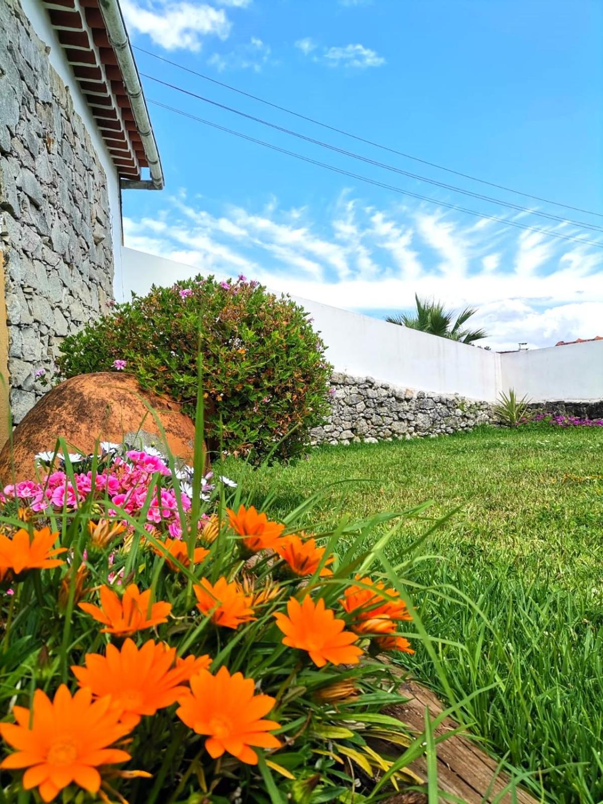 Casinha da Aldeia - country house with swimming pool view 4