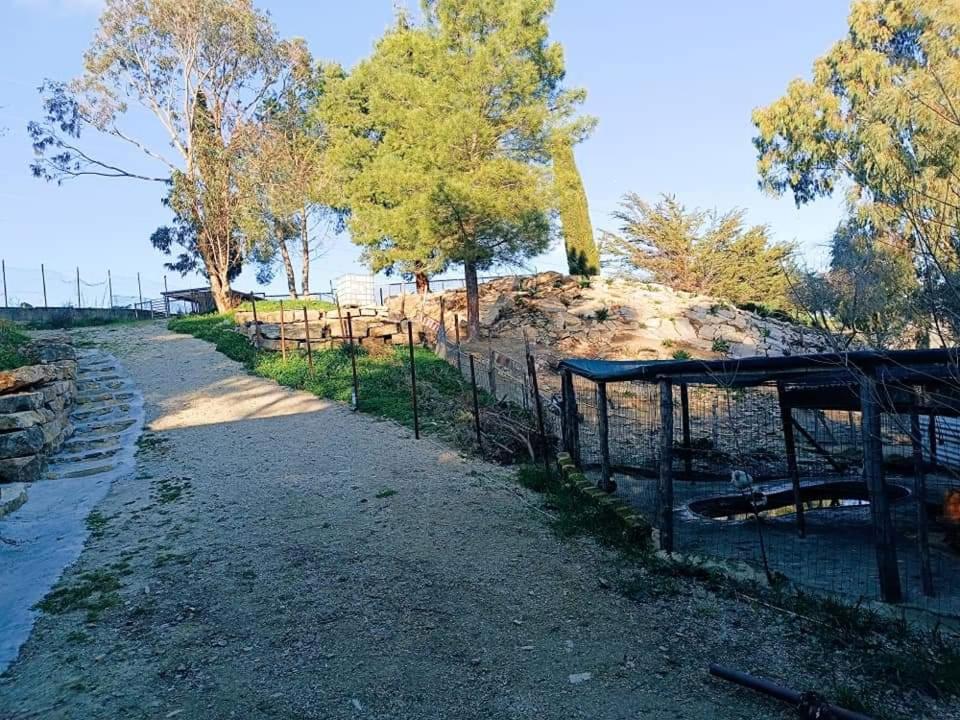 Oasi LIV - Affittacamere view 2