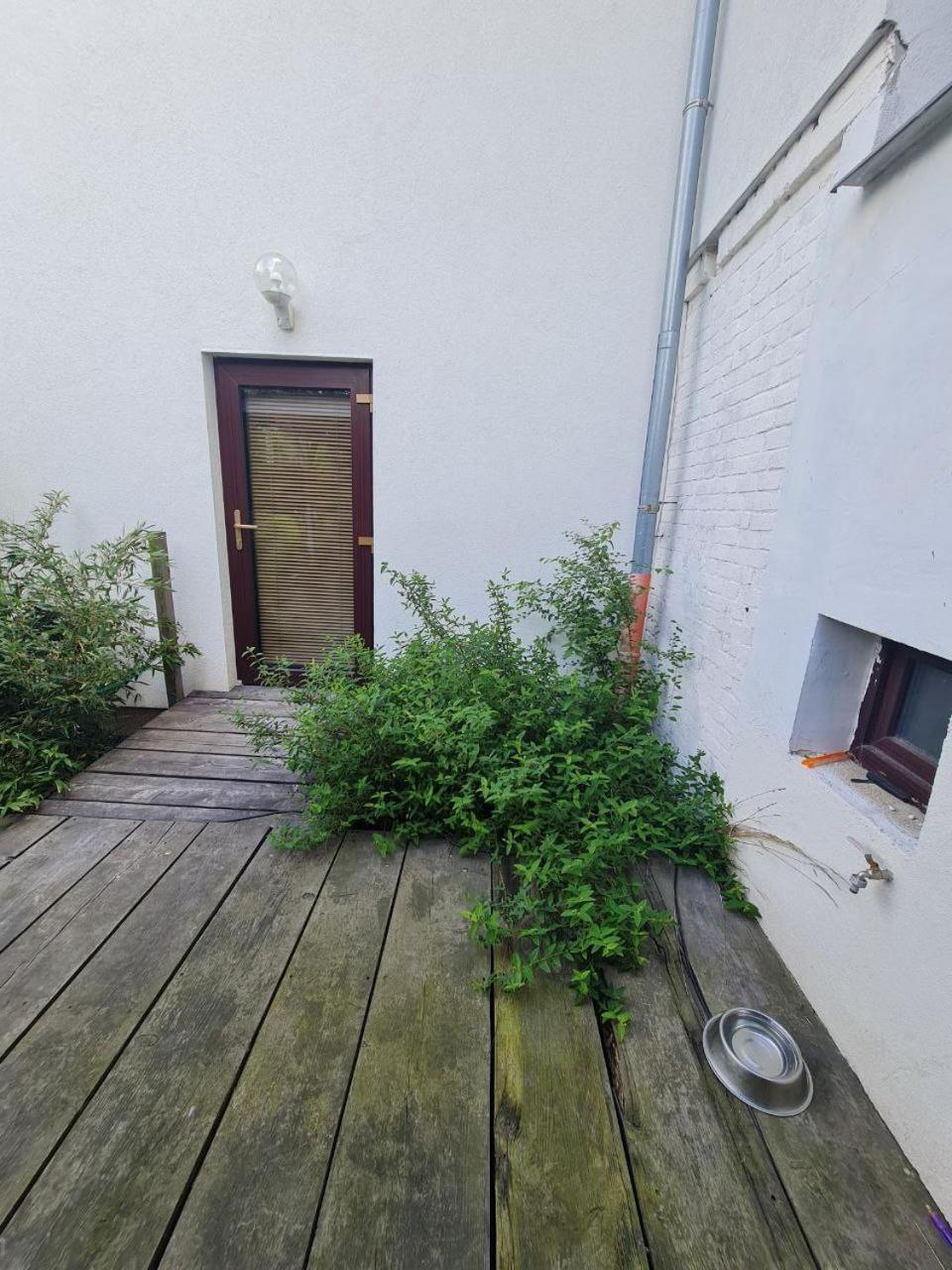 Airport Private Apartment, Advance Registration, No Reception, Self Check-in, Calm Environment, Non-Smoking Guests