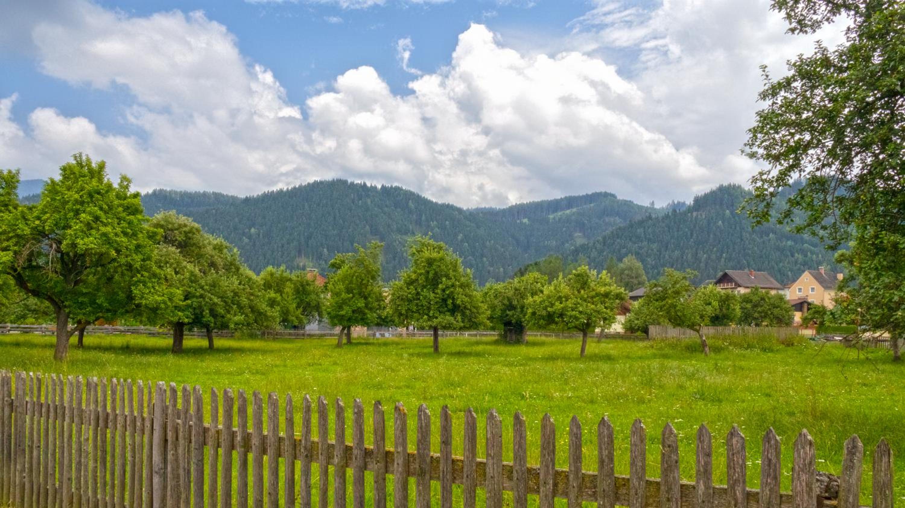 Flat Bull Appartement mit Garten