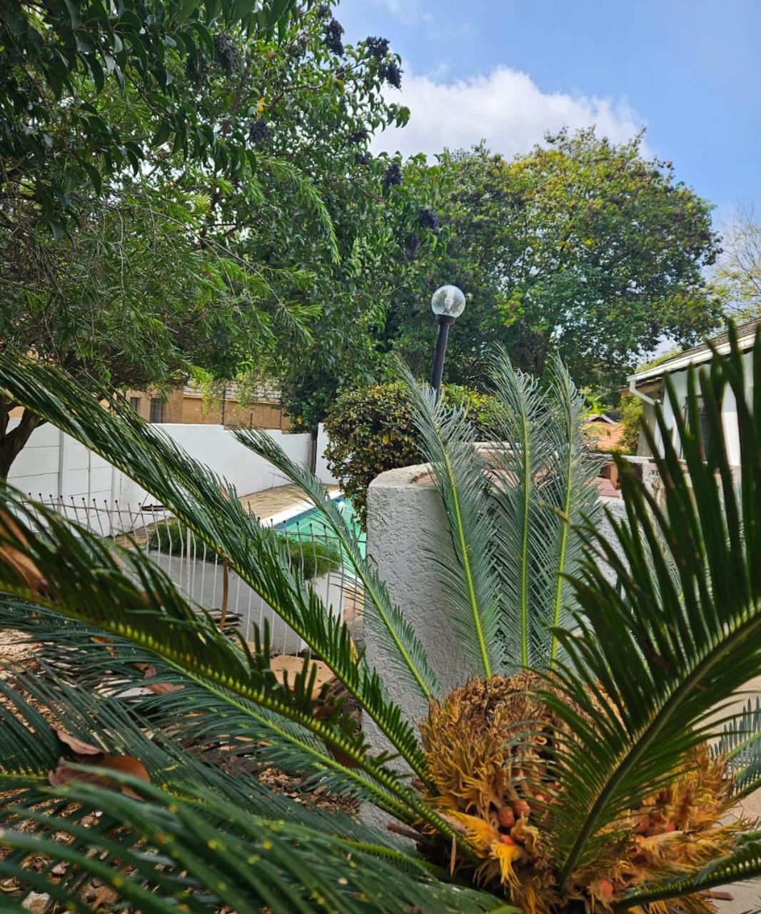 The Royal Princess B&B on Malibongwe Drive