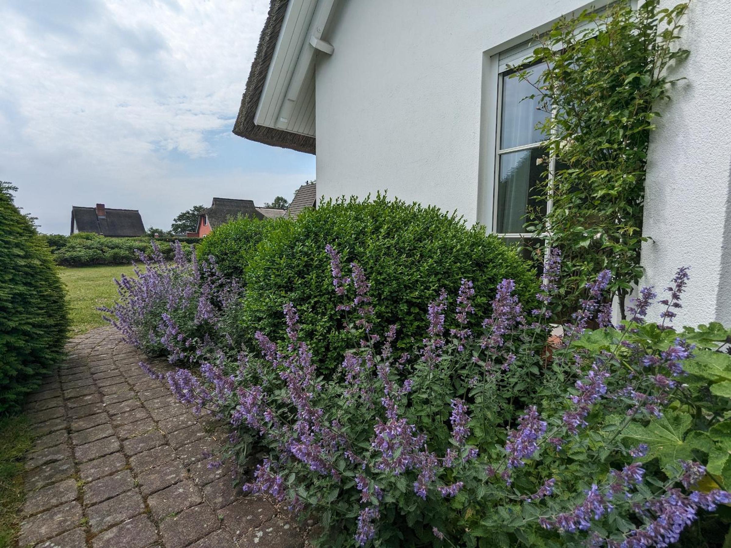 Am Boddenweg - Sunddriewer