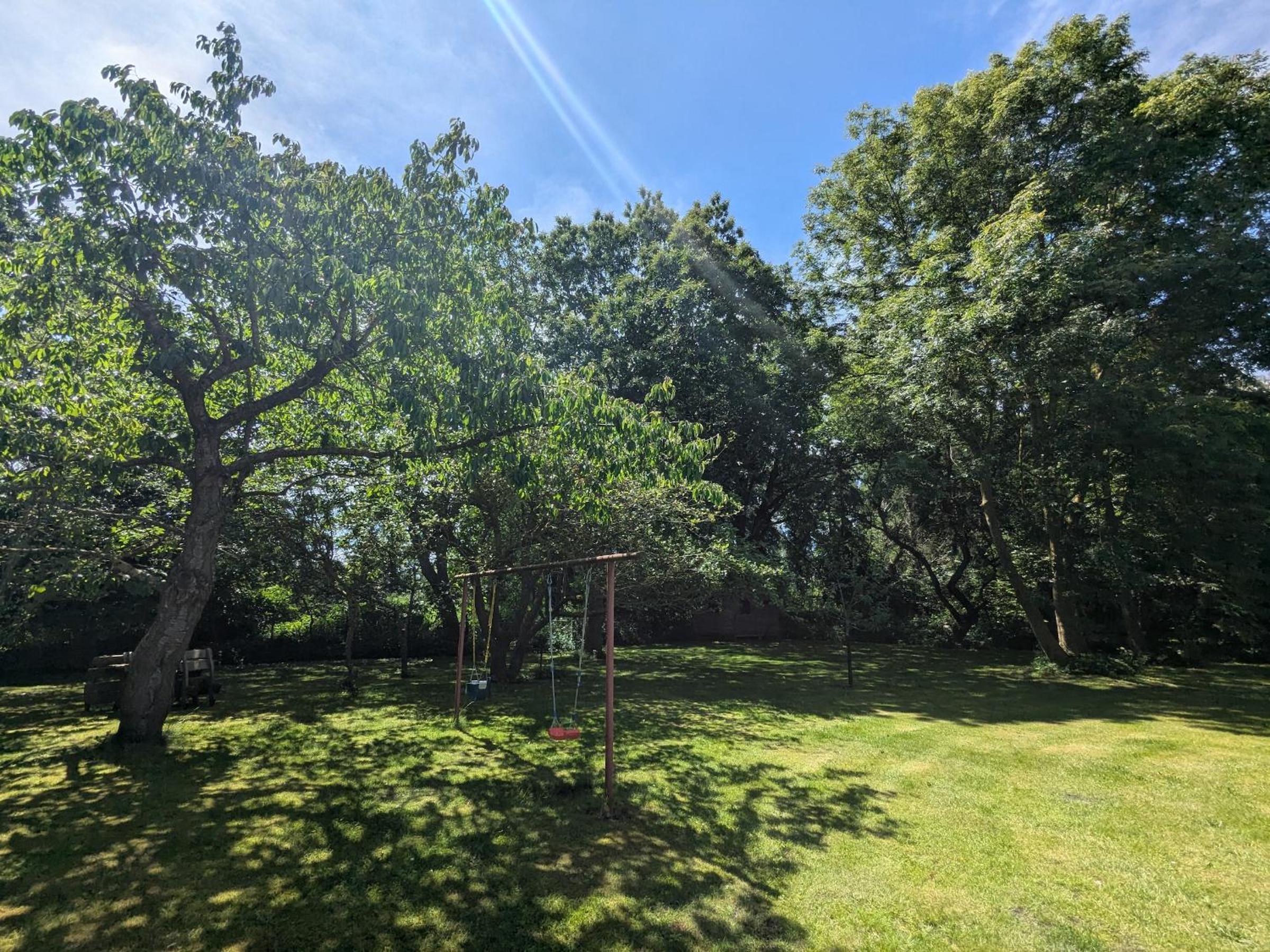 Apfelbaum