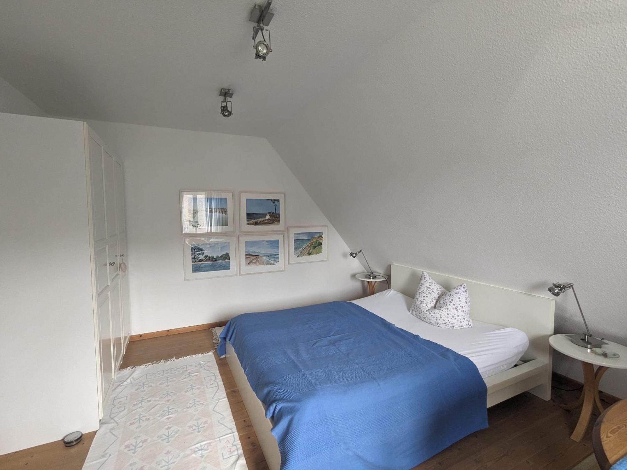 Haus Wikinger