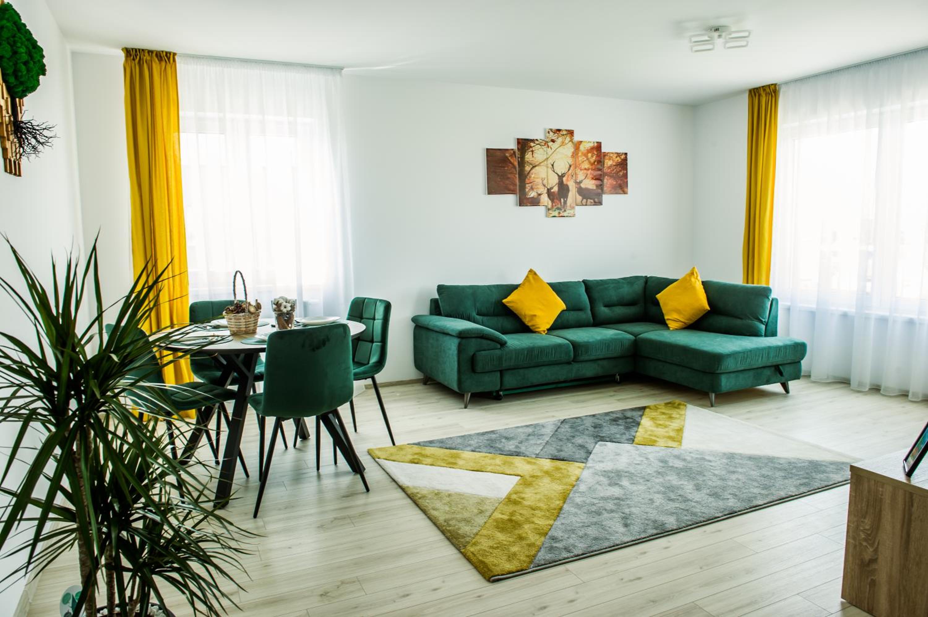 Stag Loft Brasov view 2